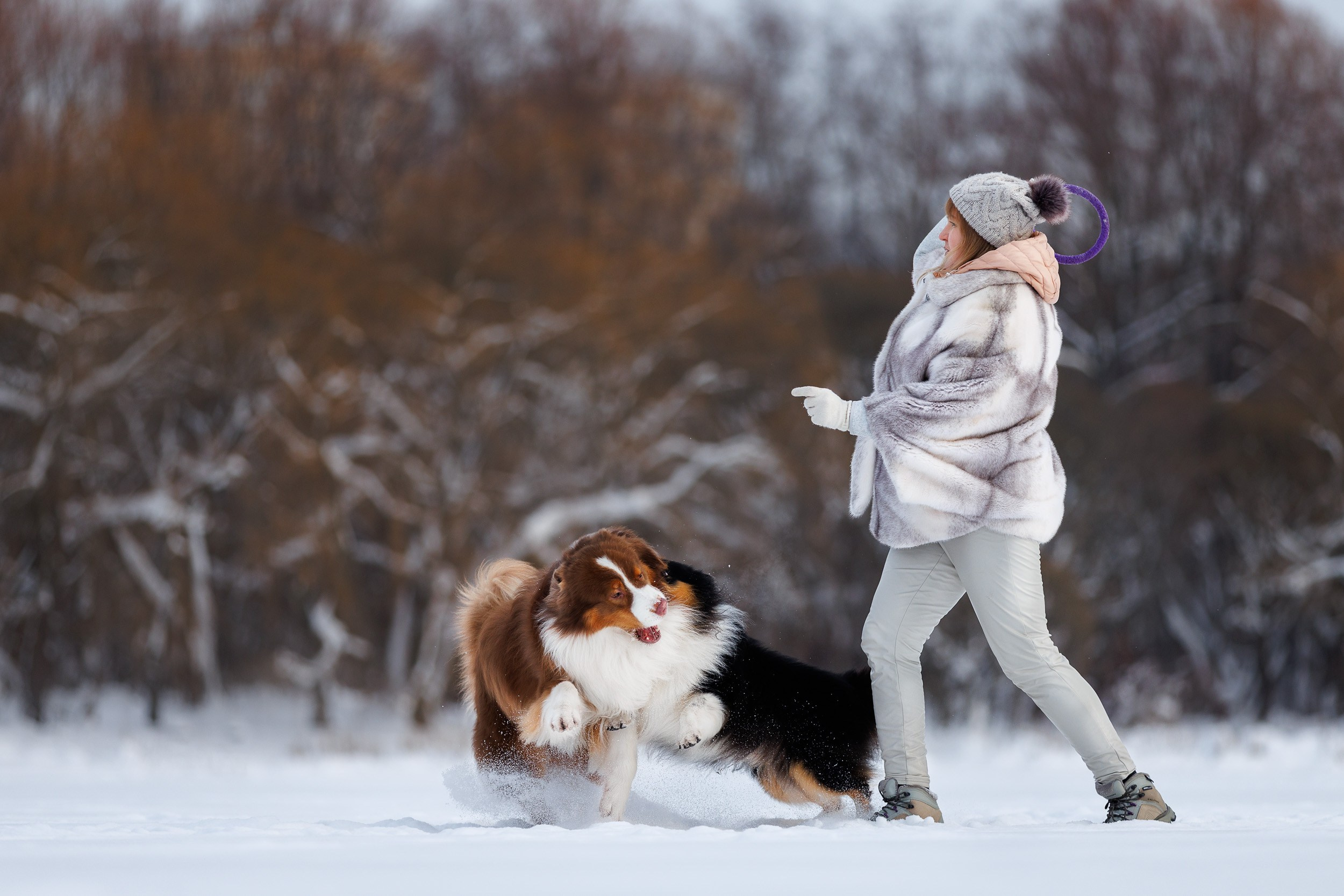 Марик и Дэн. Фотограф-анималист в Москве и Московской области Татьяна Фролова
