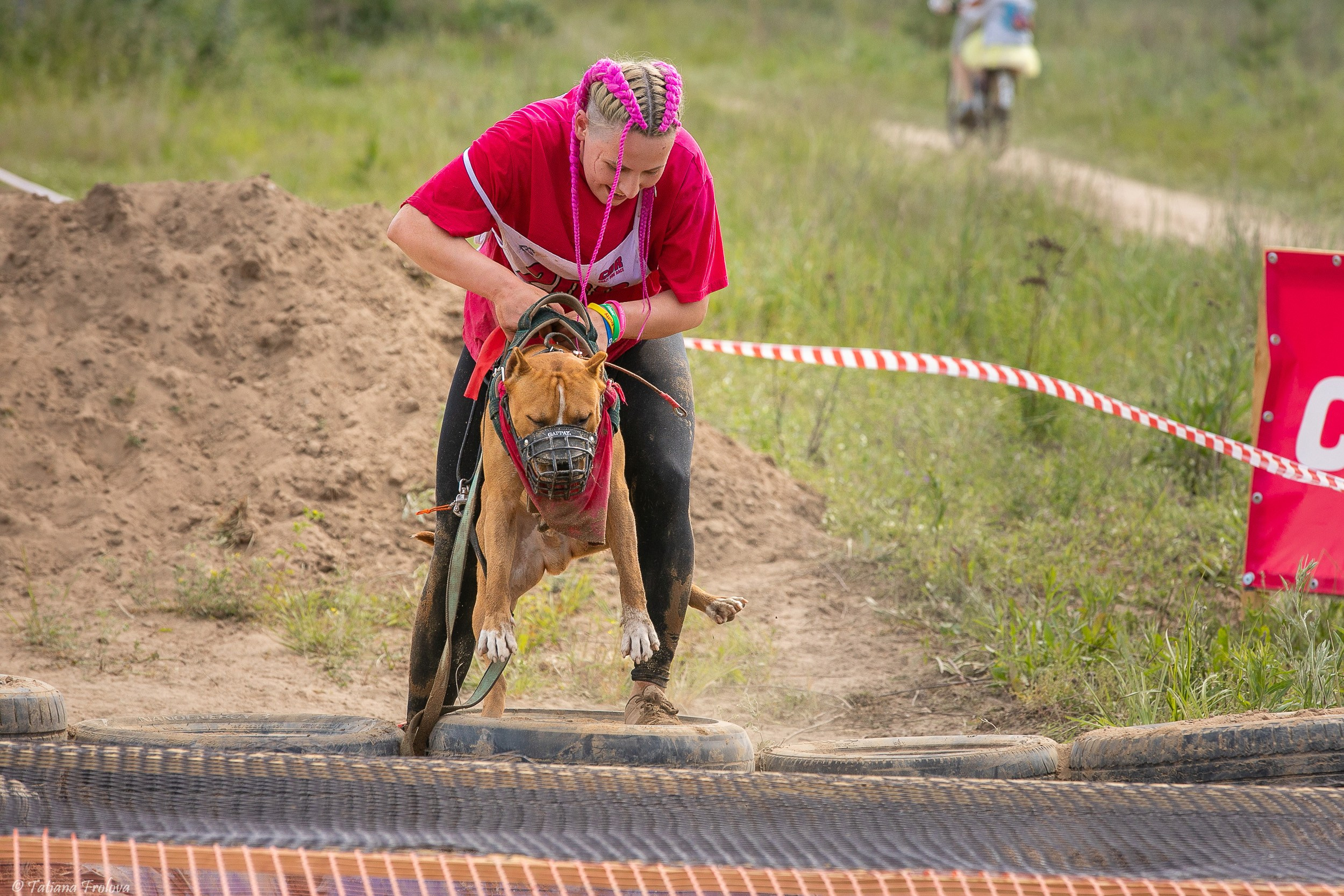 Фоторепортаж с забега с собаками. Фотограф-анималист в Москве и Московской области Татьяна Фролова