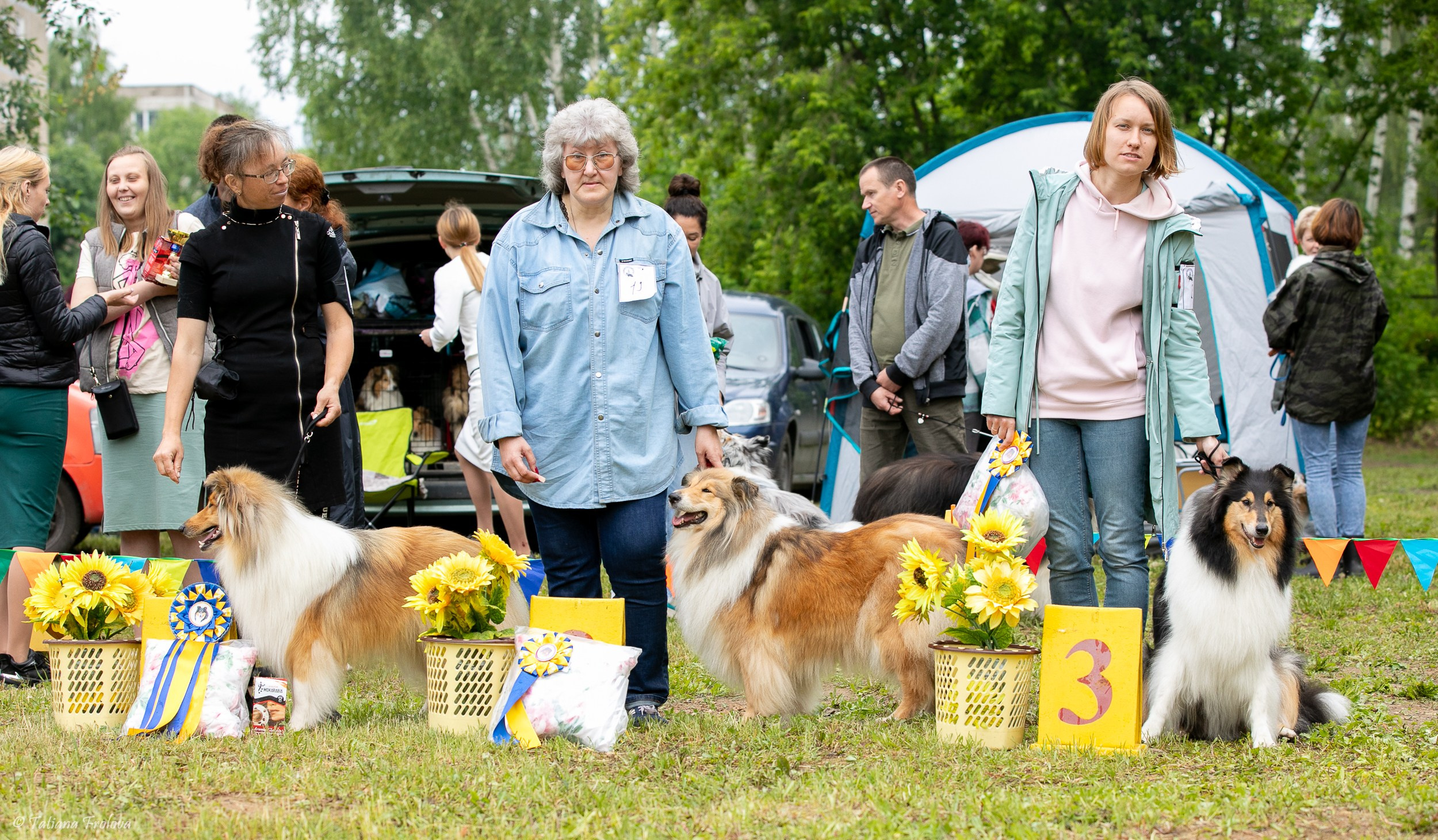 Фотосопровождение выставки собак в Московской области и Москве. Фотограф-анималист в Москве и Московской области Татьяна Фролова