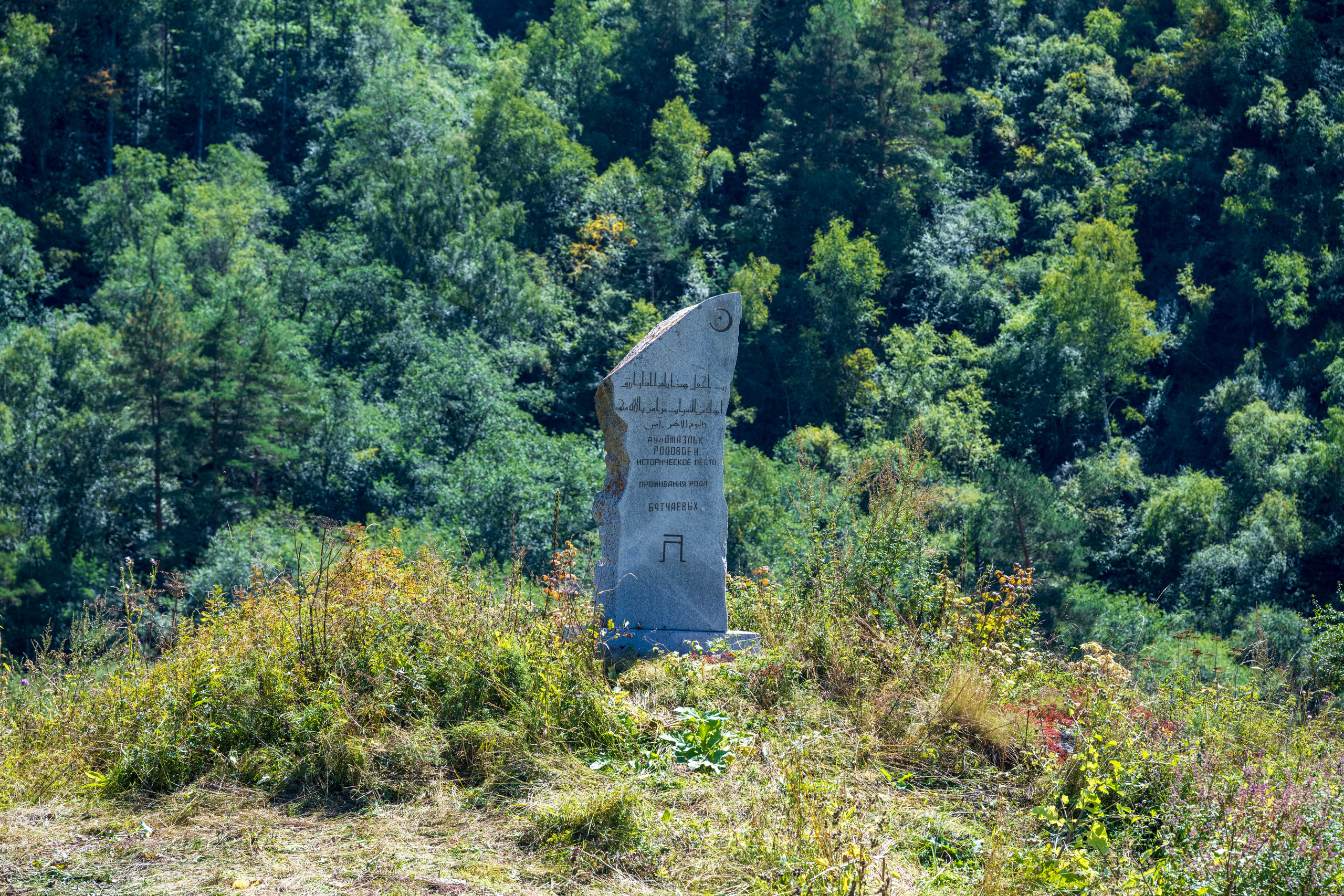 Экспедиция 2024