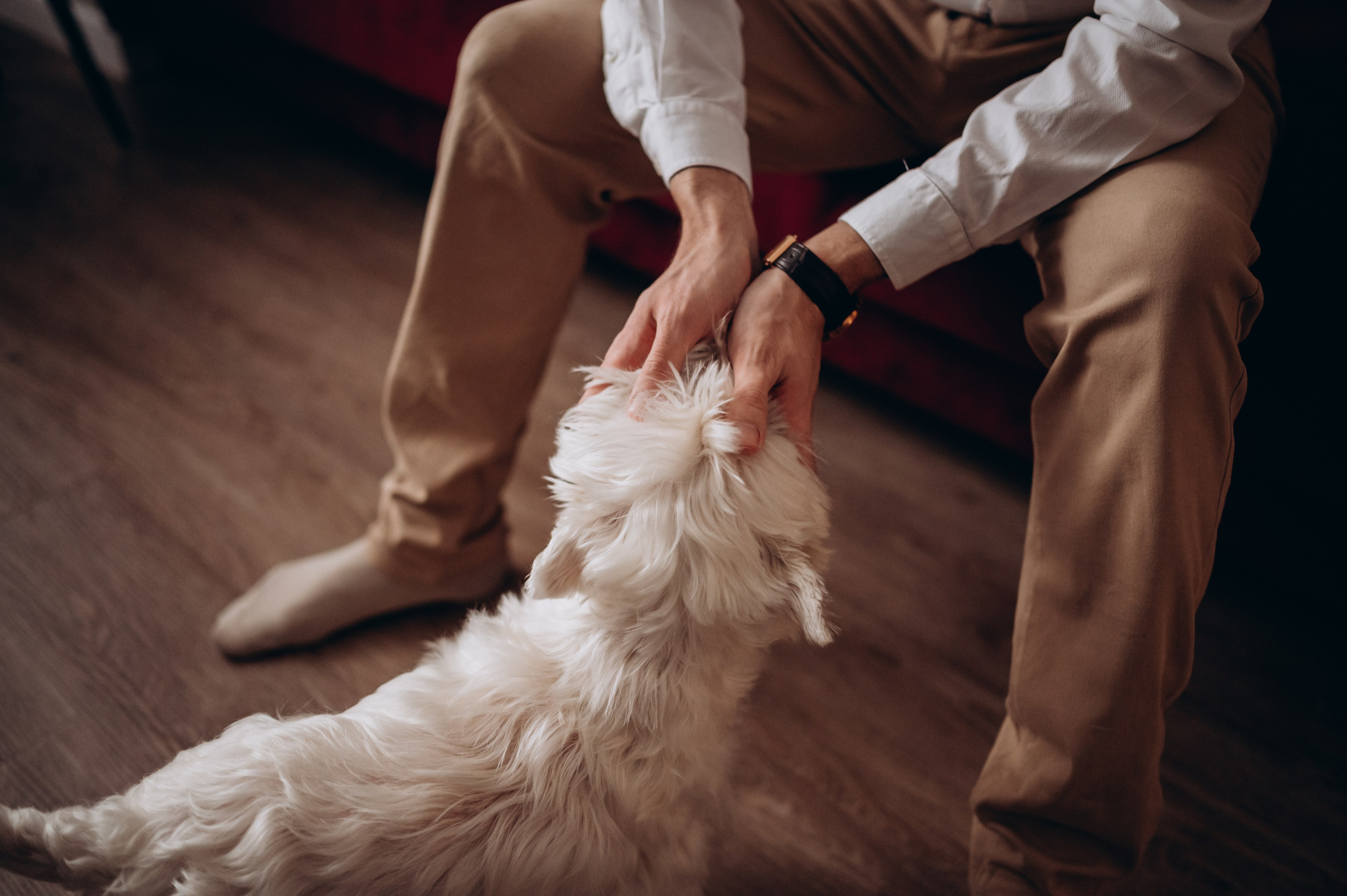 Юлия Юрий Аня и Игорь. Детский и семейный фотограф в Москве