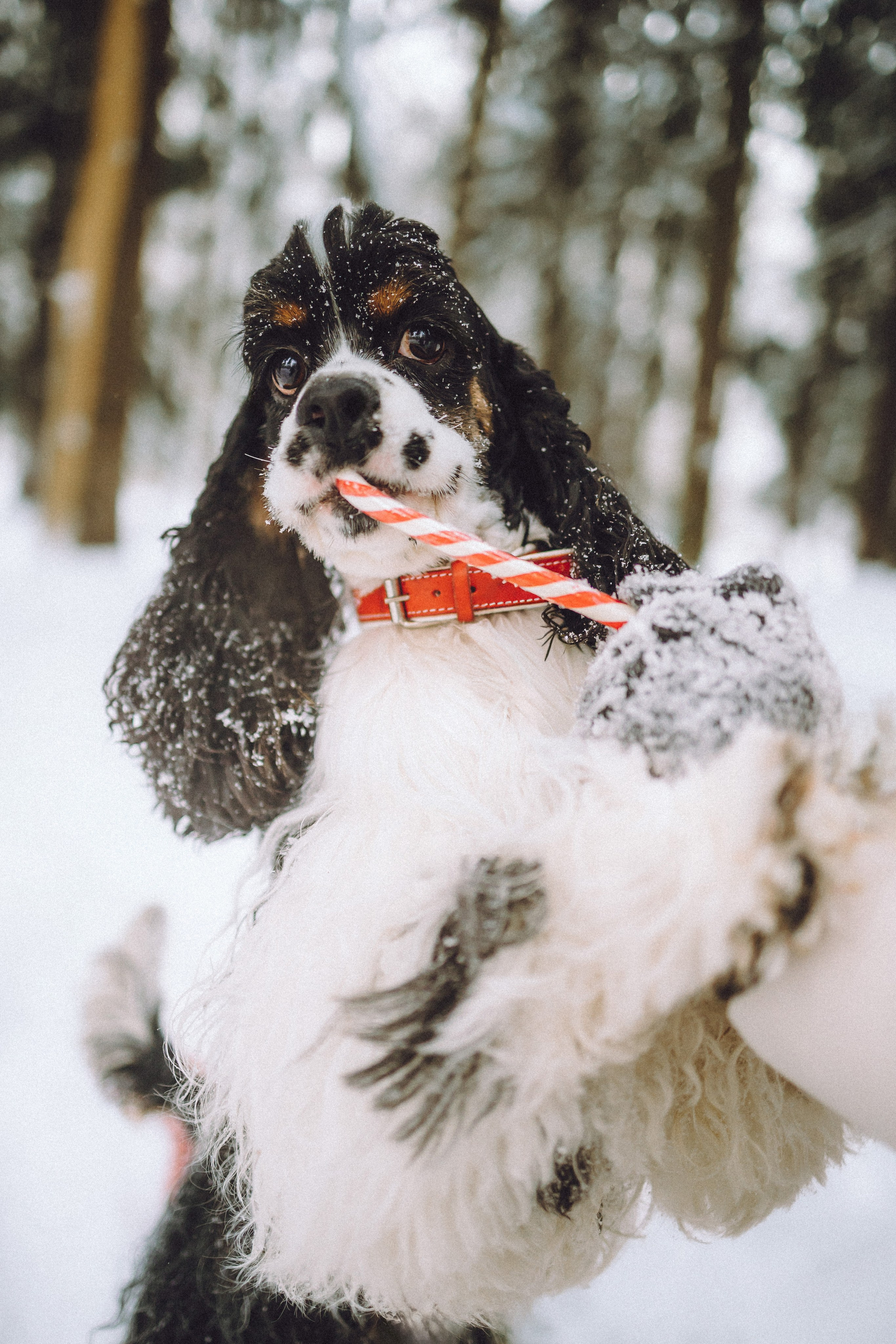 Ольга и Патрик