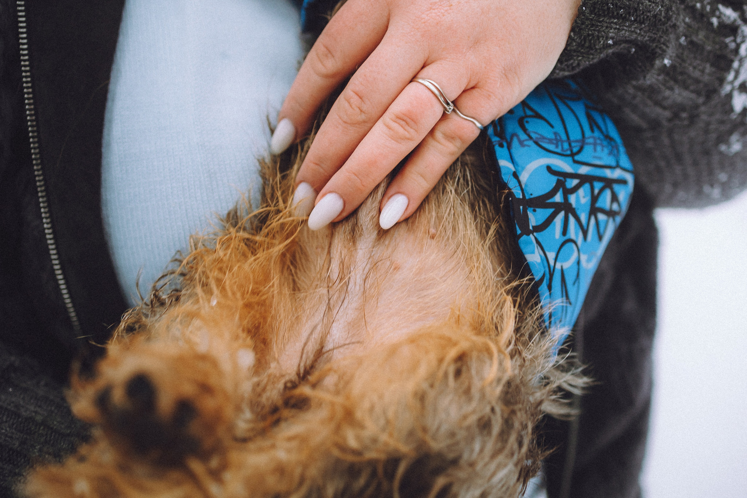 Каспер и его семья