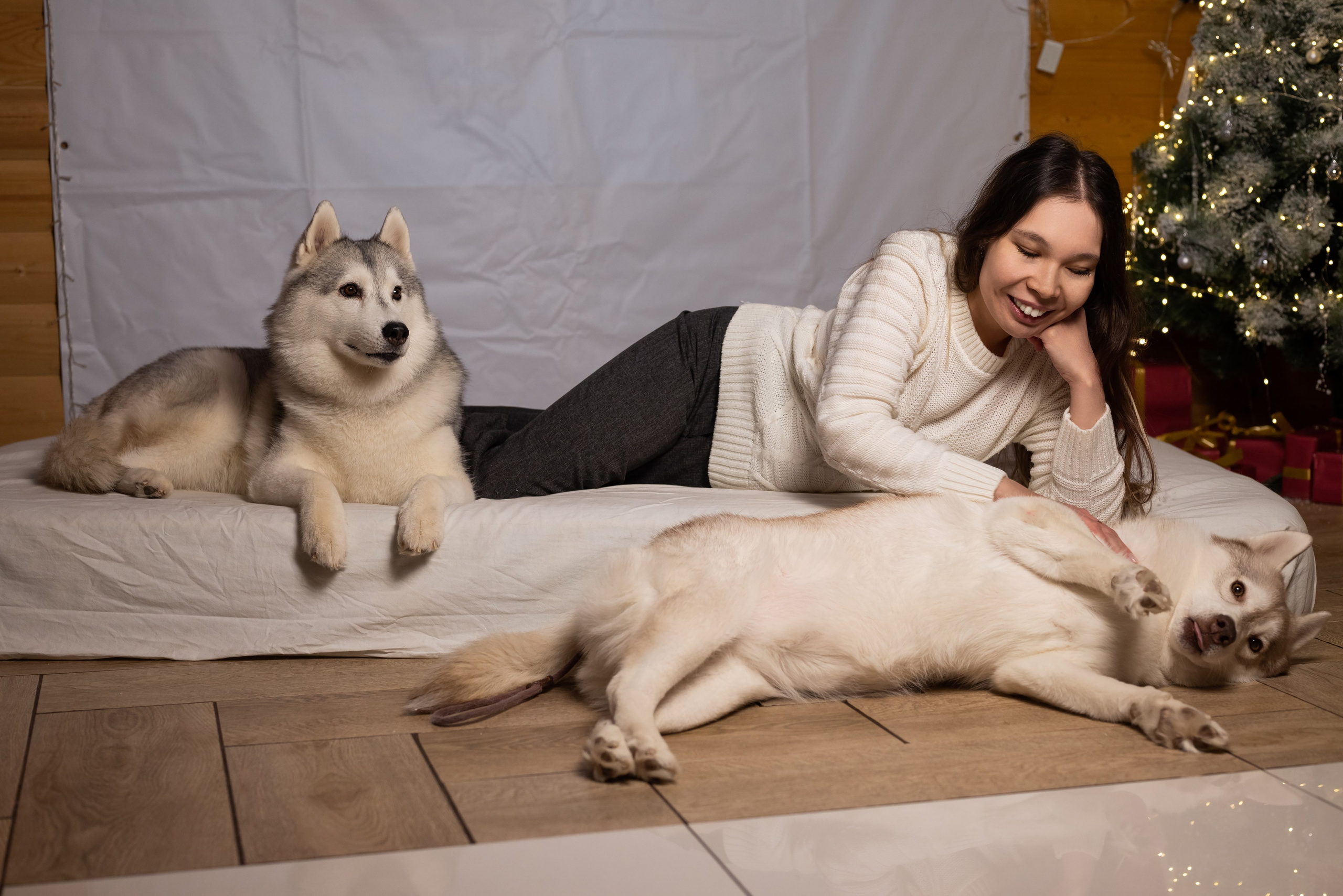 Фотопроект с хаски в частном доме. Фотограф в городе Салават