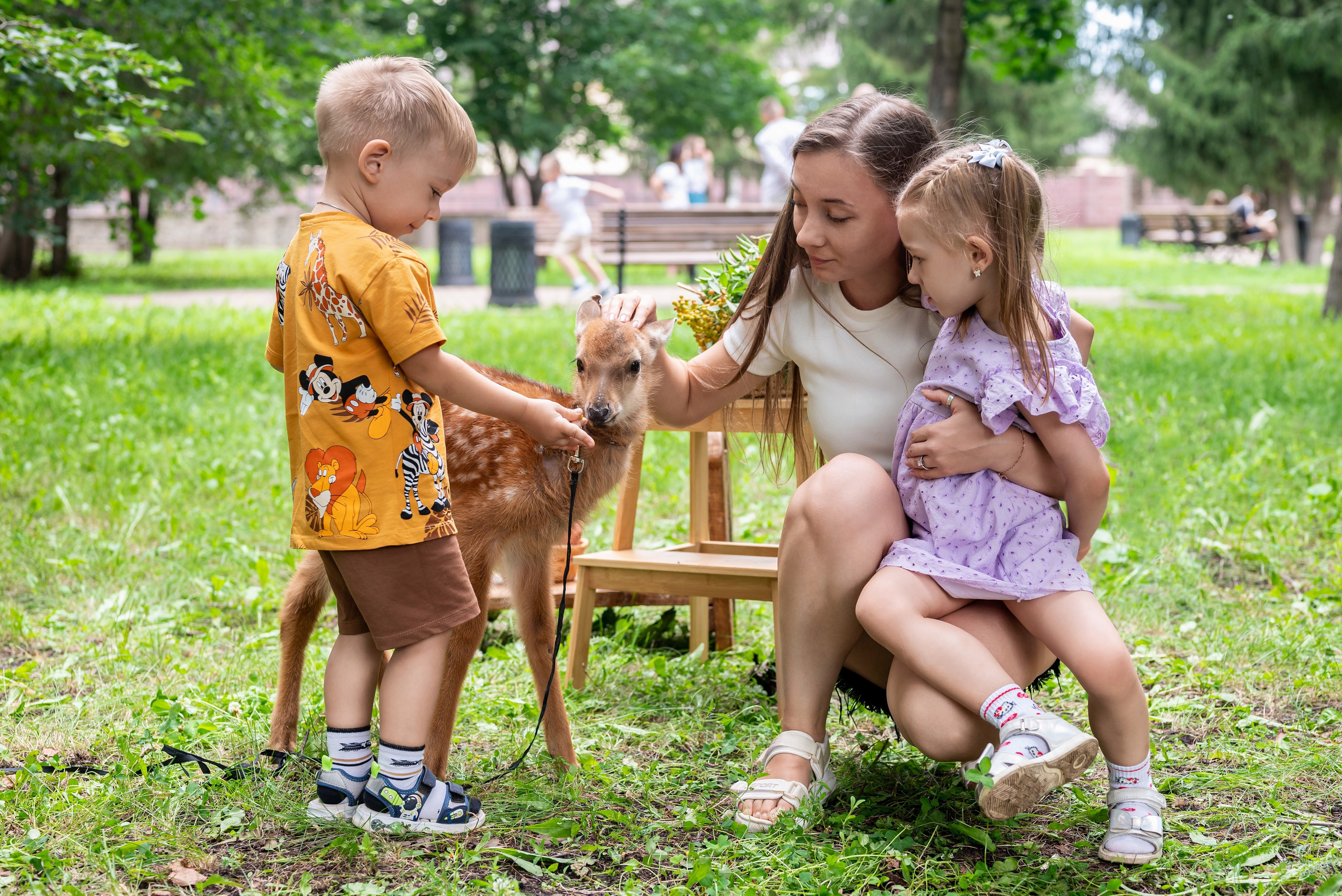 Фотопроект *Оленёнок Бэмби*. Фотограф в городе Салават