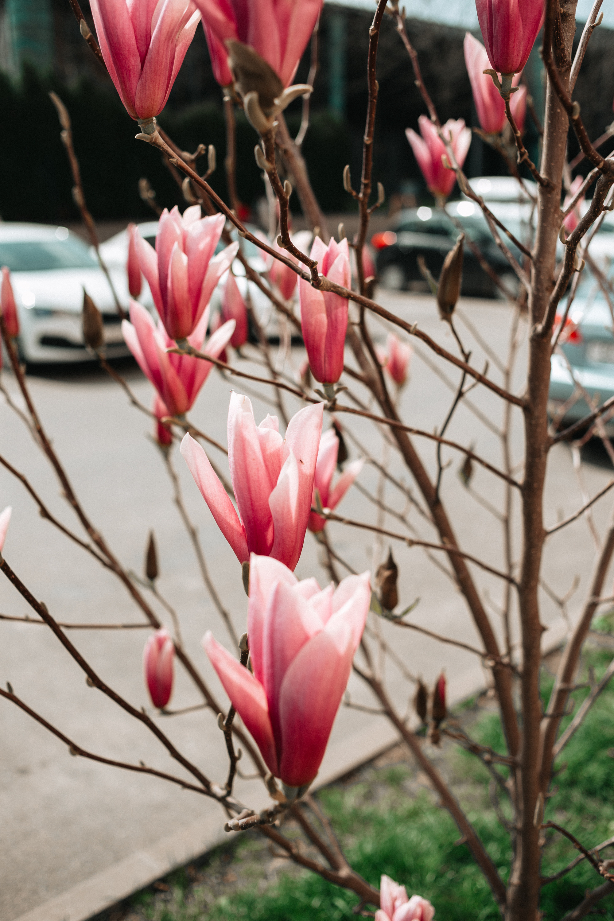 Прогулка Ксюши, Марата и Лео. Фотограф Настя Галингер Краснодар