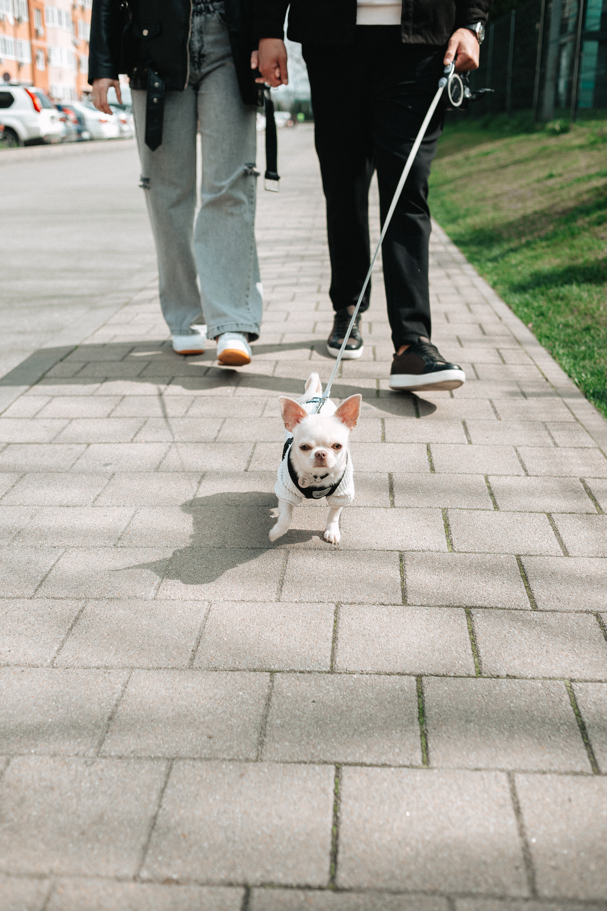 Прогулка Ксюши, Марата и Лео. Фотограф Настя Галингер Краснодар