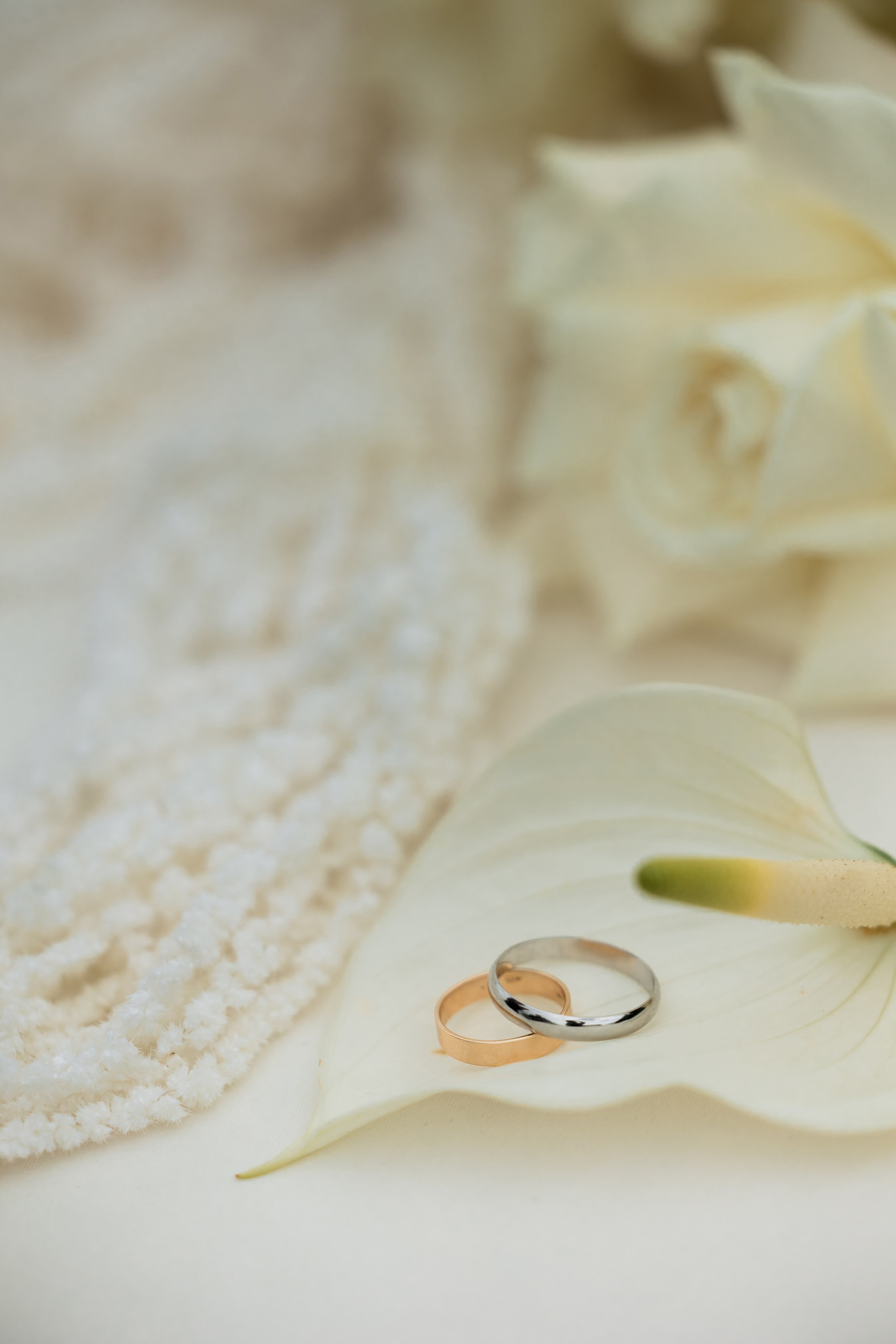 Кирилл & Анастасия. Организатор- Елена Гаманович. Главная