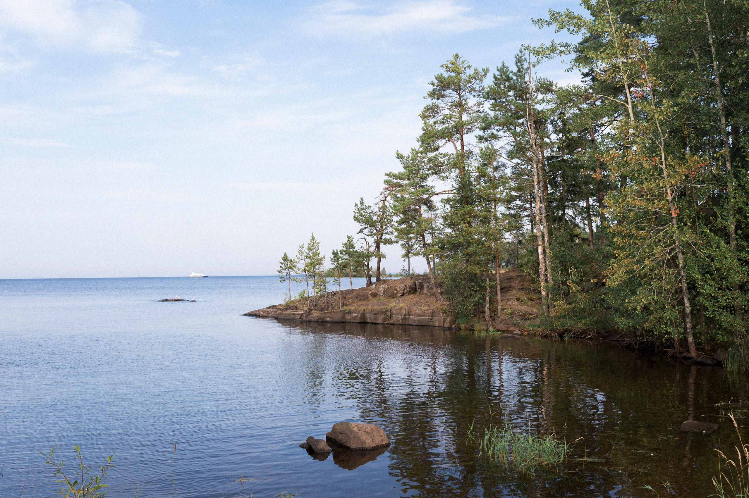 North 2024. Kartascheff