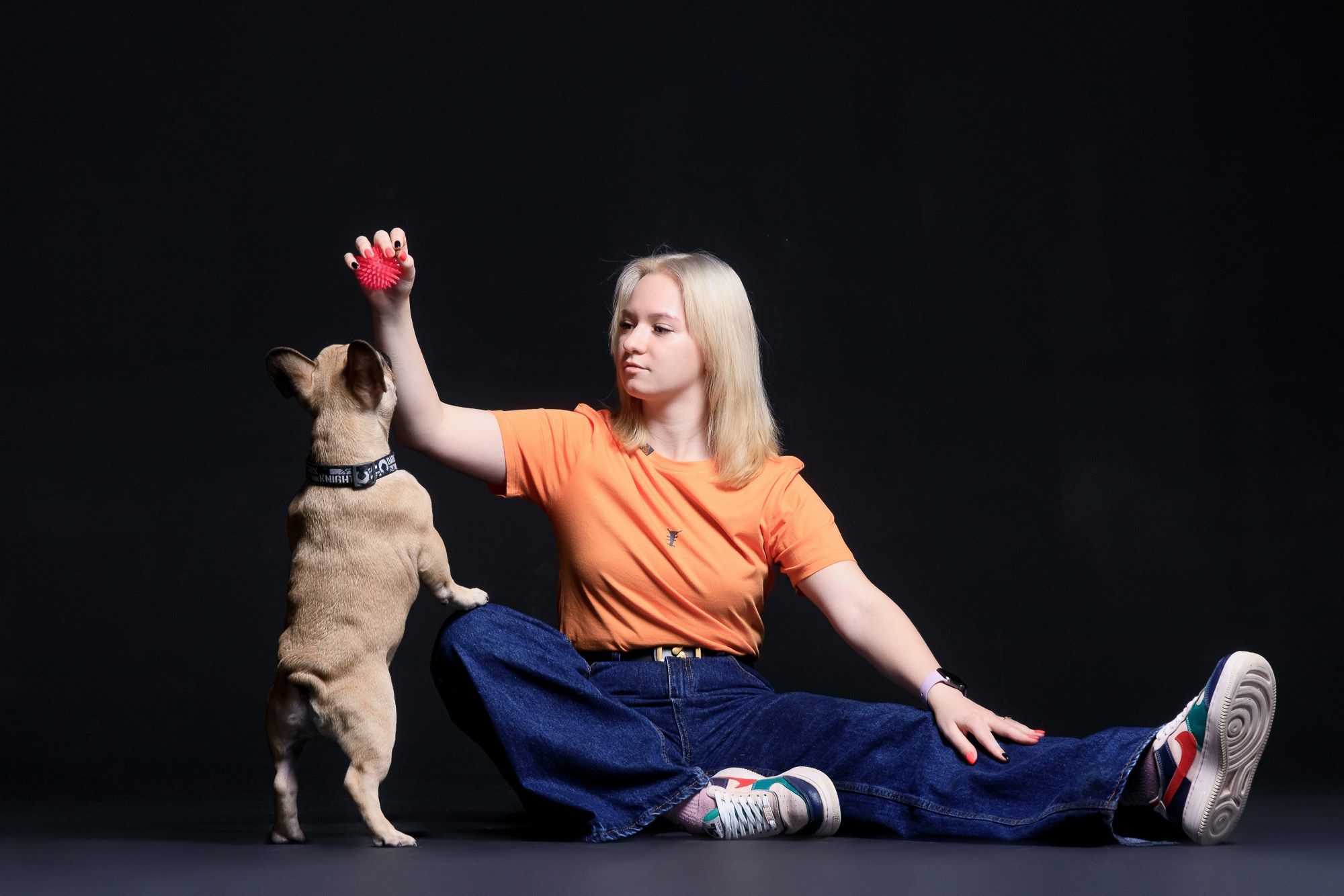 анималист Саратов, фотосъемка собак в Саратове, студийная фотосессия с собакой, французский бульдог