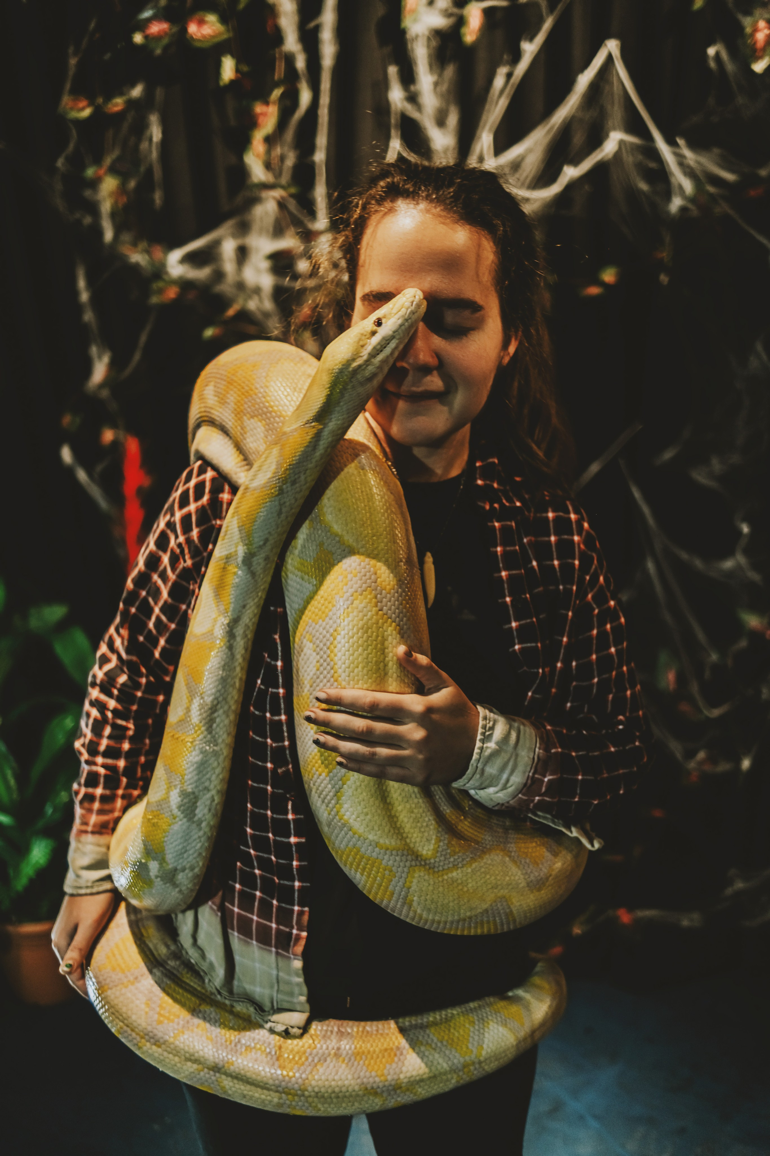 Дом Драконов. Nattie.ph