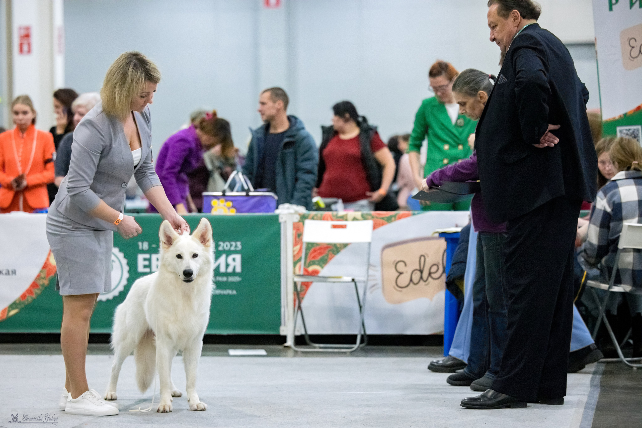ЕВРАЗИЯ 18-19.11.2023. Фотограф-анималист Юлия Германика
