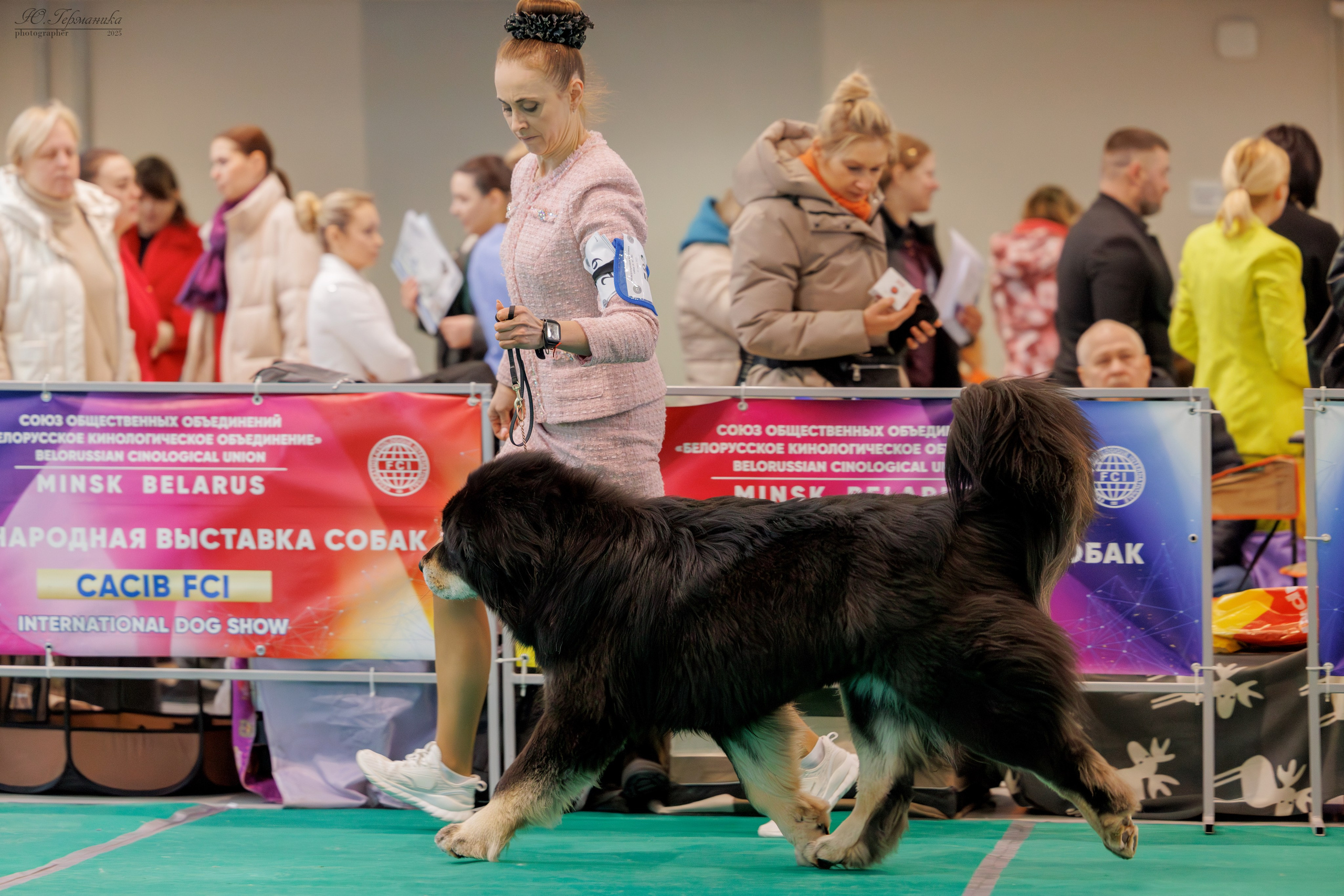 Минск 1-2.03.2025. Фотограф-анималист Юлия Германика
