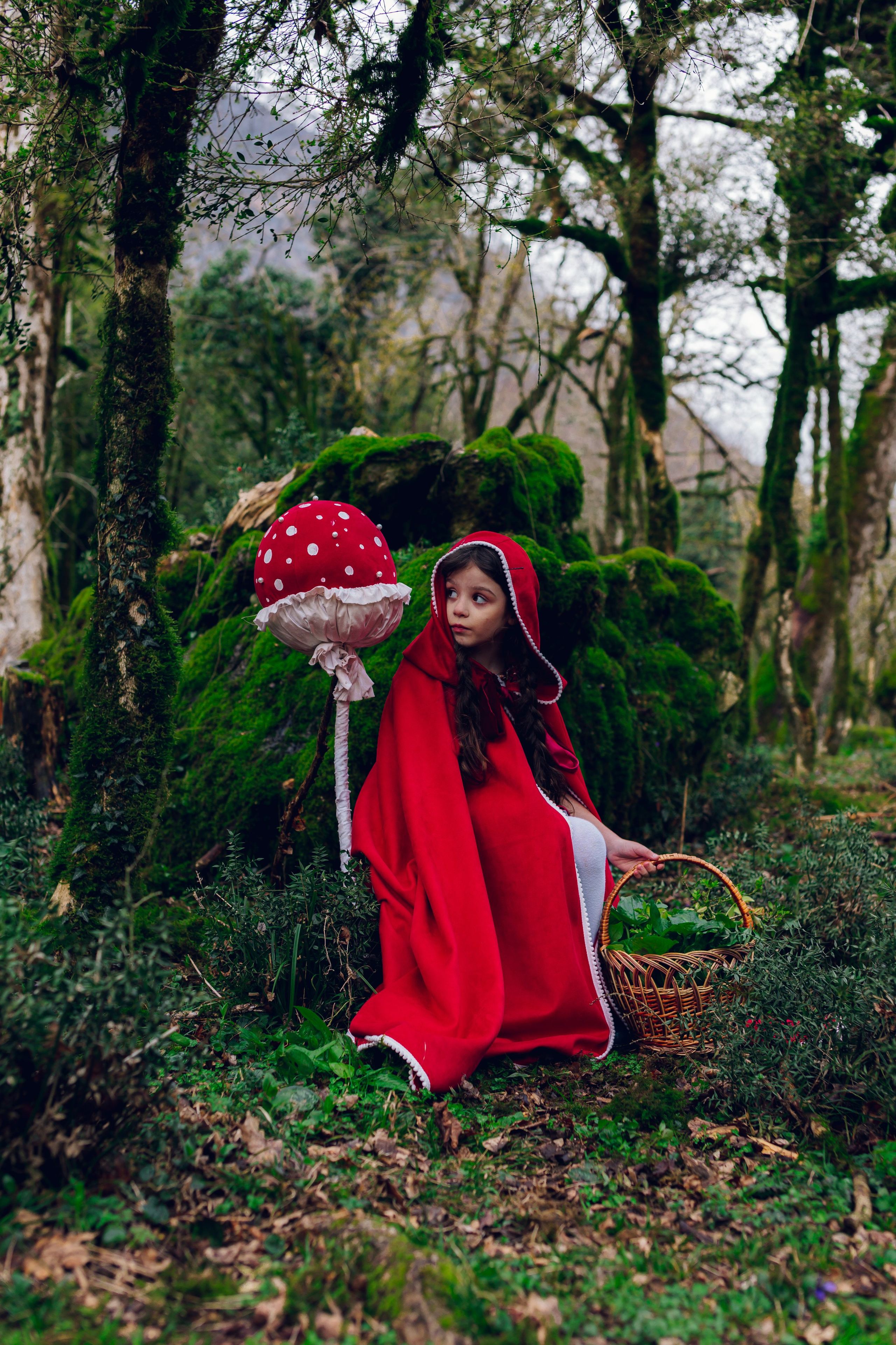 Самшитовая роща. Семейный и художественный фотограф в Тюмени Юлия Логинова