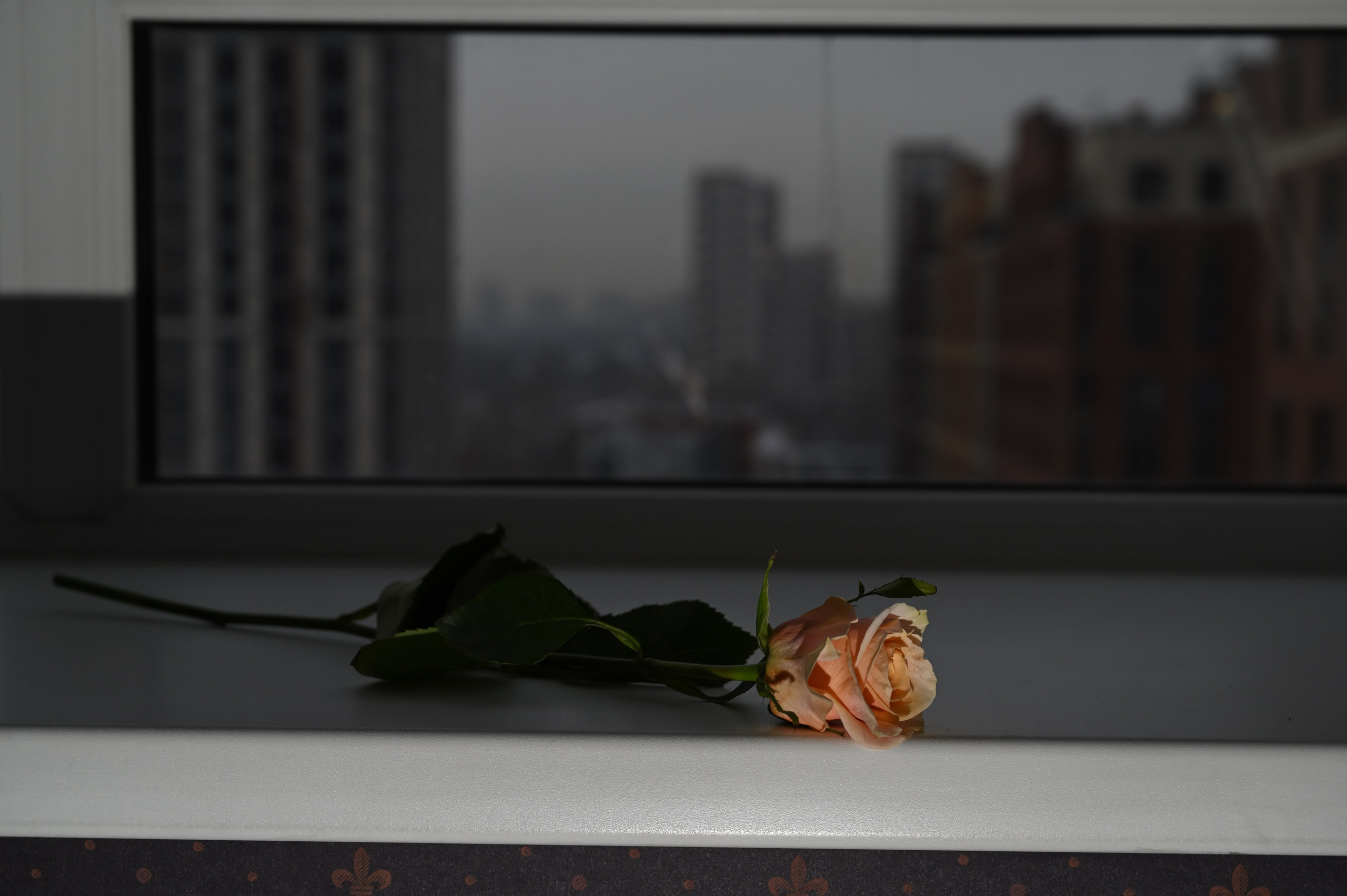 Dan. Портретный и мужской фотограф в Новосибирске