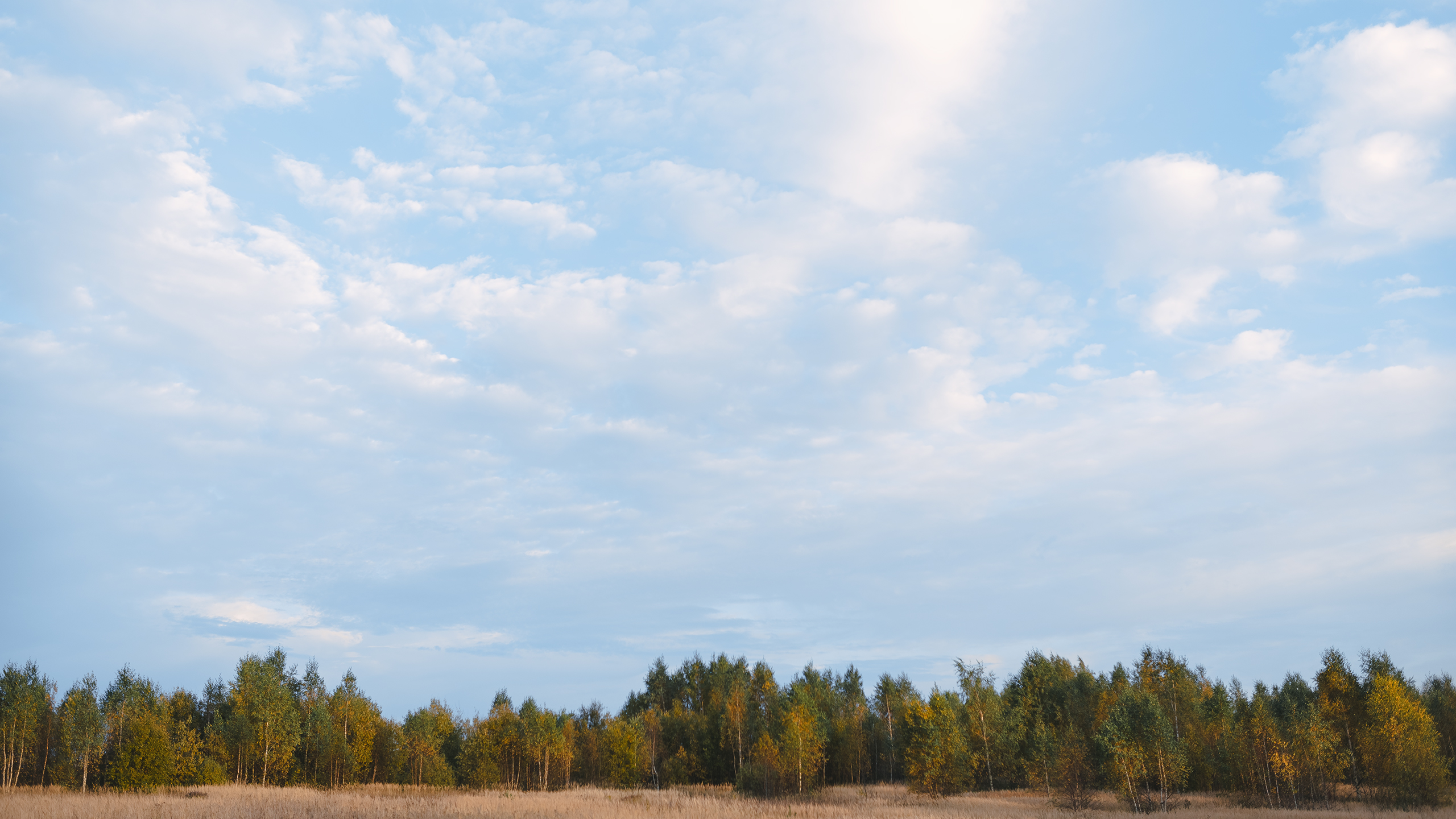 Небо видело всё. Komonev