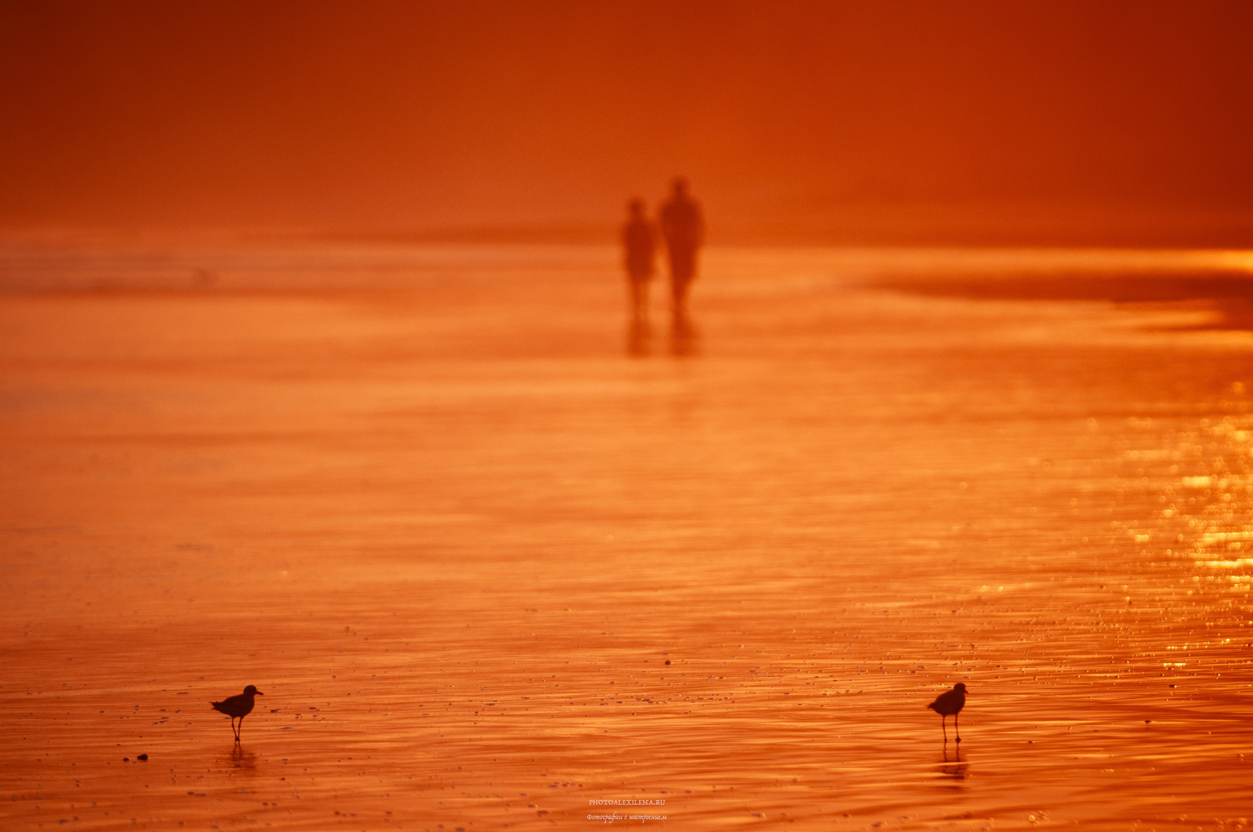 Решающий момент. Авторские стильные фотокартины