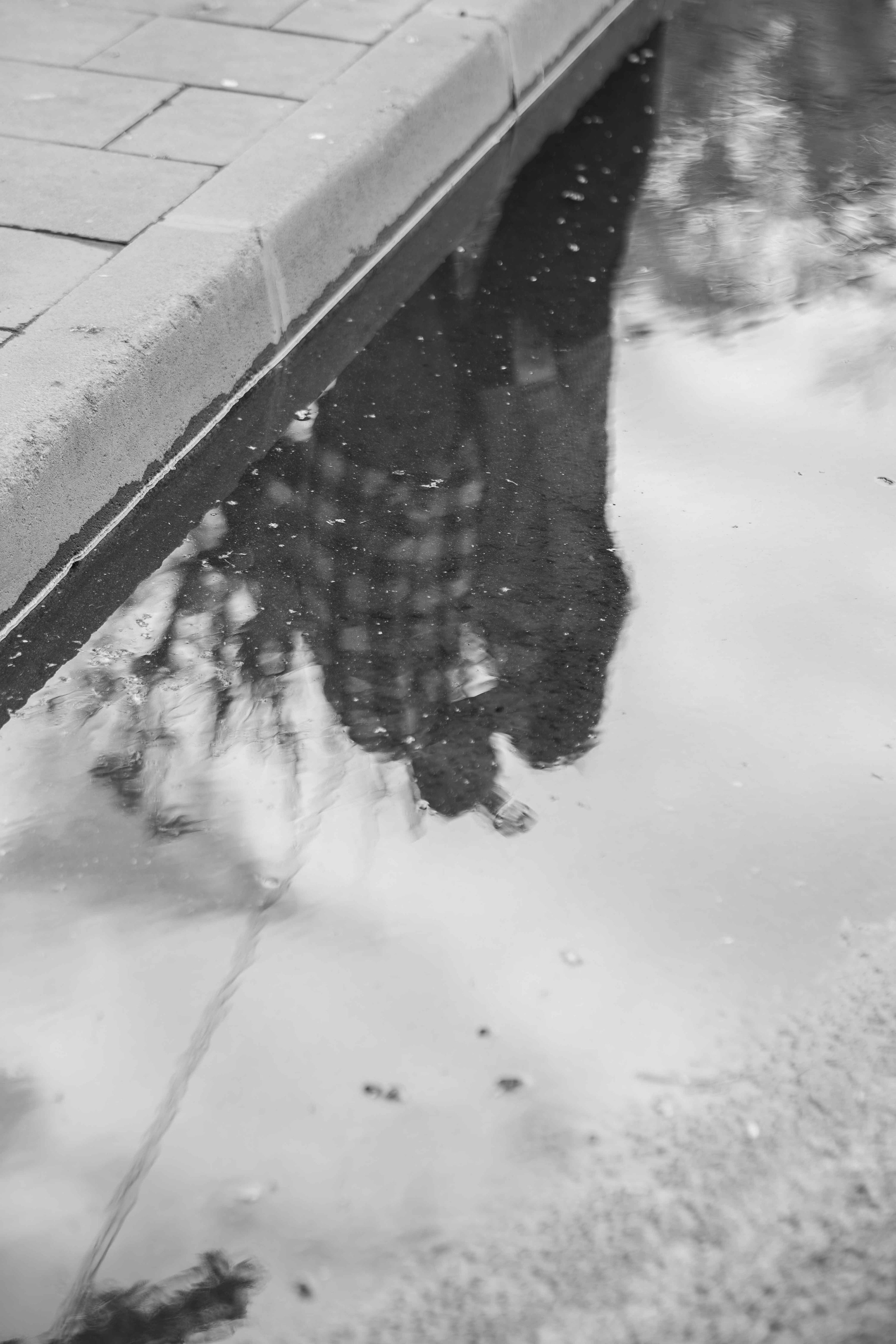 Иван & Варвара. Свадебный фотограф Смоленск