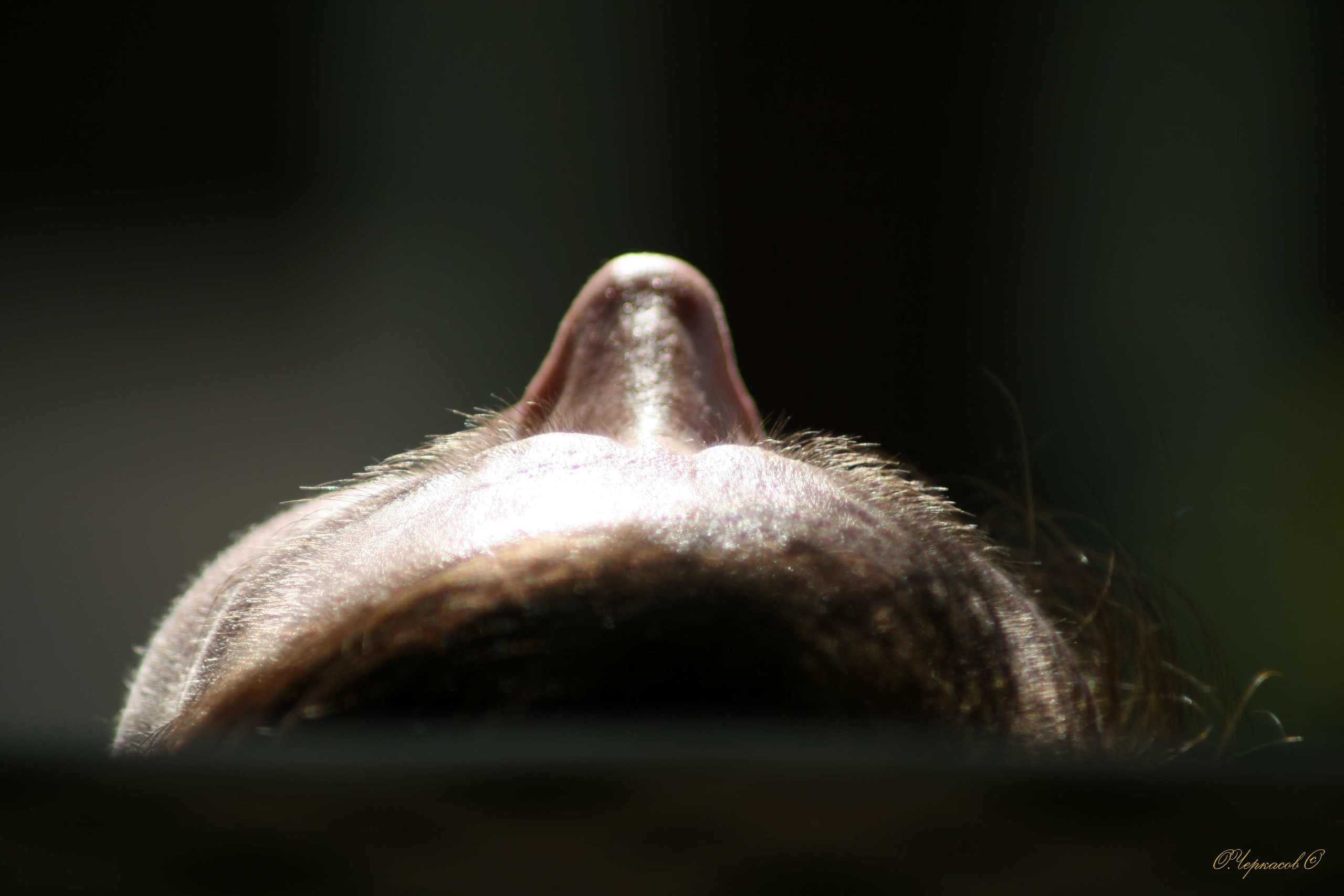 Вьетнам 2008 г. Улица, люди, жизнь…