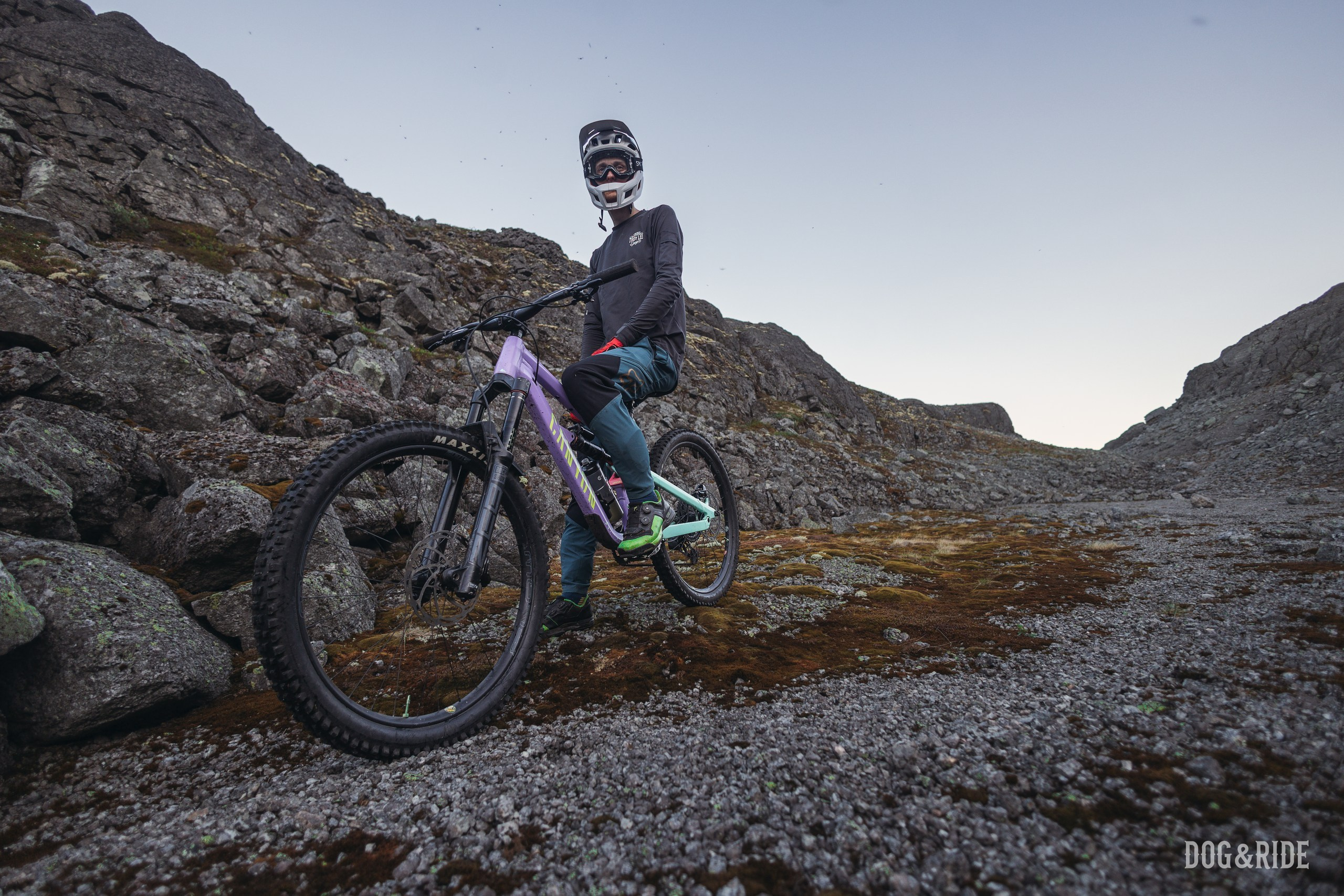 Хибины. Фотограф анималист Никита Натальный