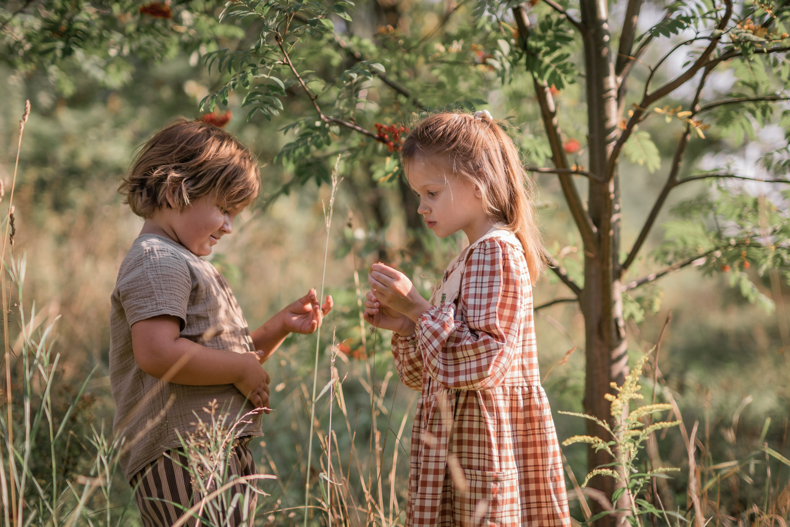 Яблочный сад. Семейный фотограф Ефремова Виктория