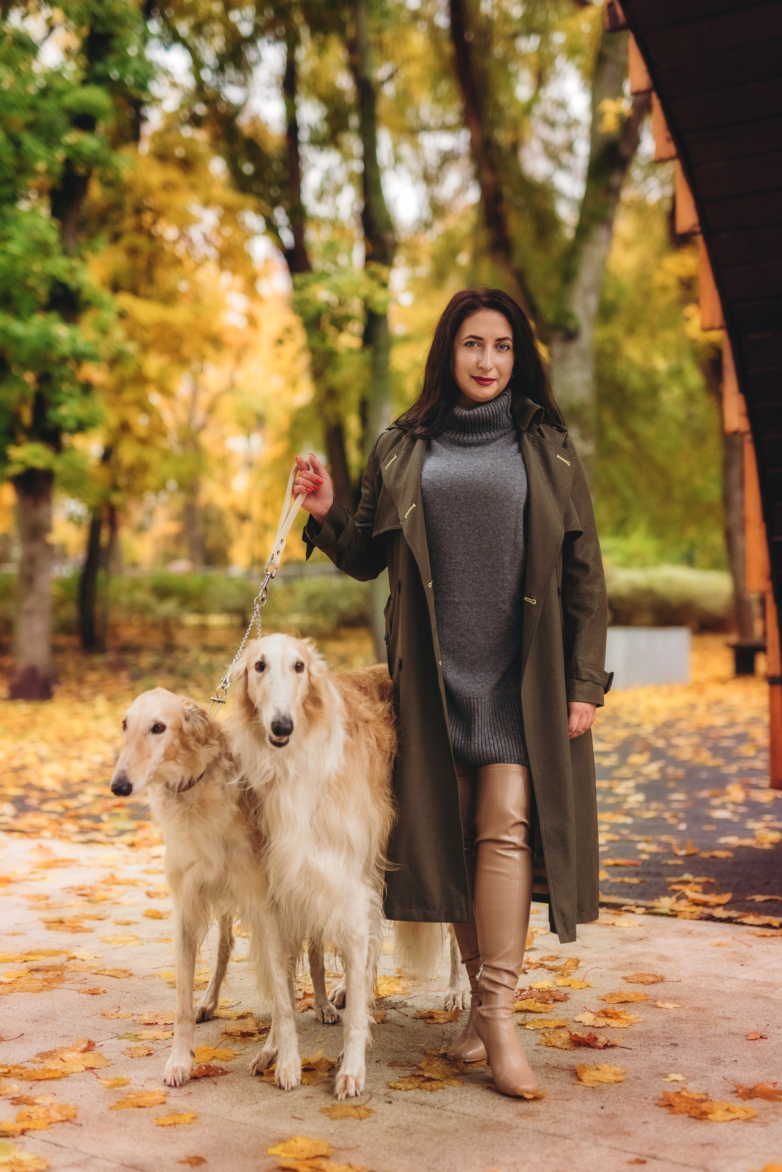 Фотосессия с борзыми. Семейный, детский фотограф в Воронеже Анна Никитина