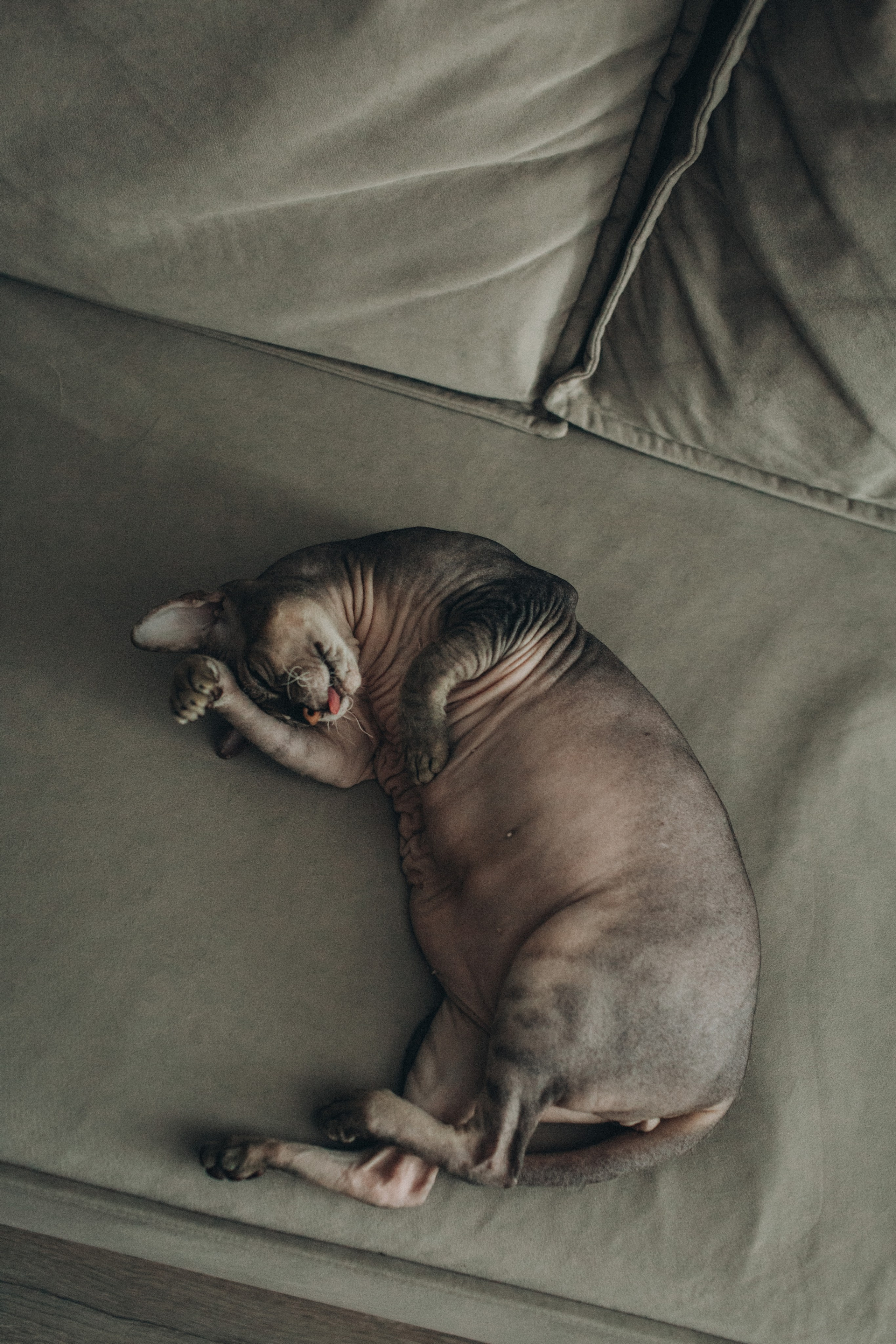 Глеб, Лиля, Андрей, Наташа. Семейный фотограф Томск