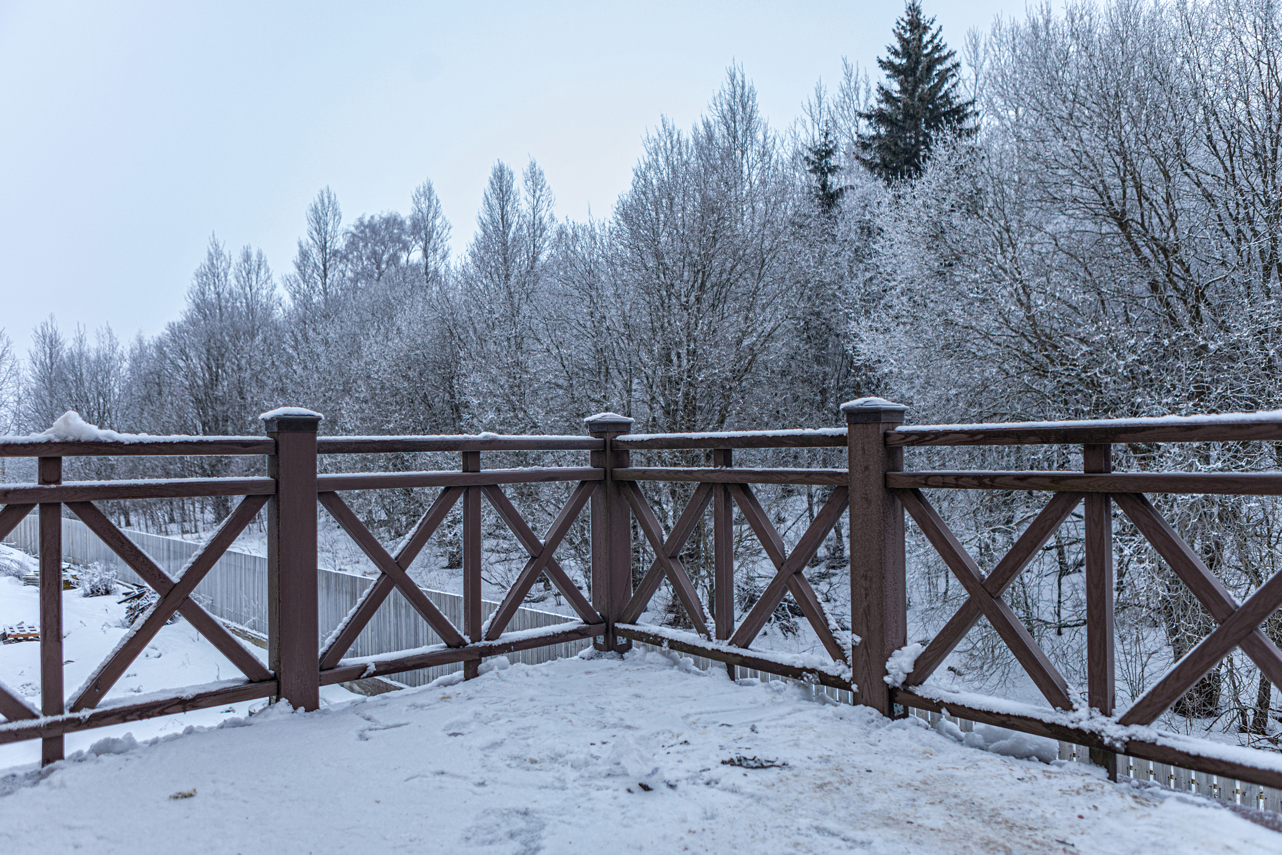 7. Фотограф в Санкт — Петербурге Анна Конофало