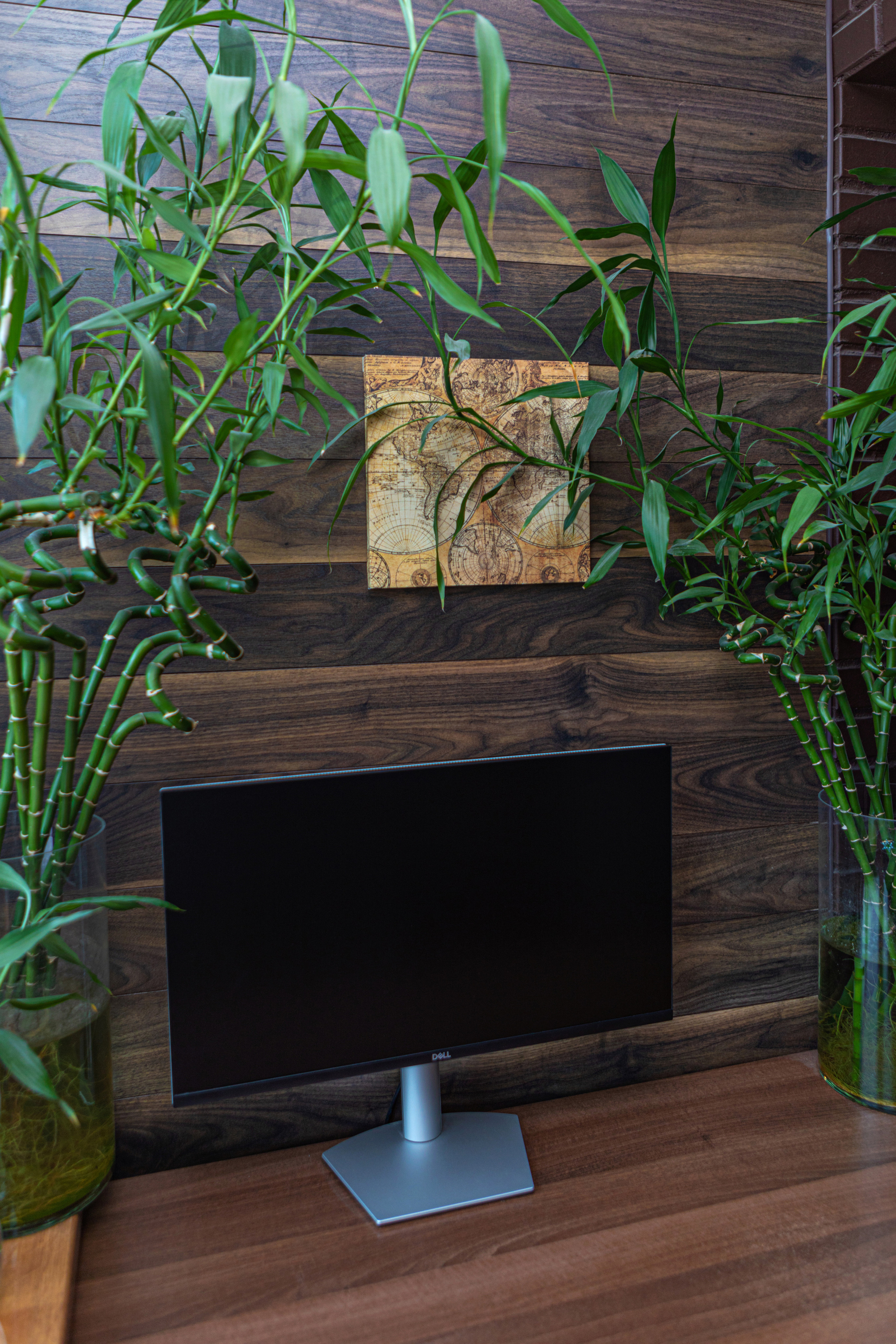 9. Фотограф в Санкт — Петербурге Анна Конофало