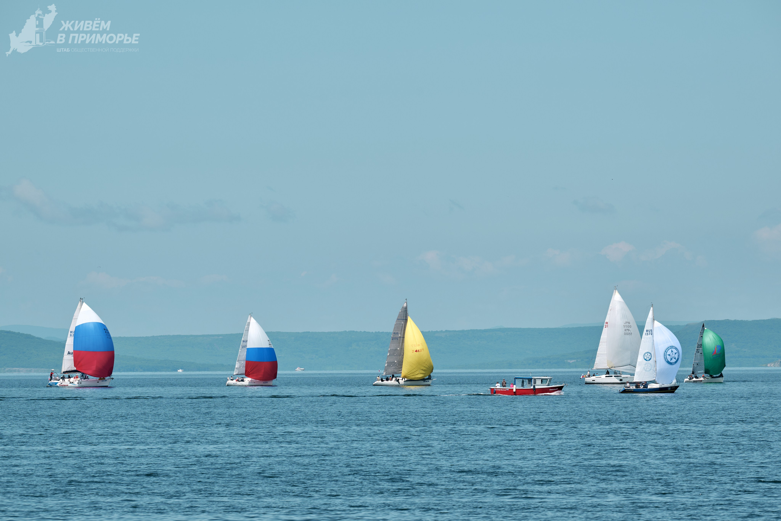День России 12.06.25. Профессиональный репортажный фотограф Инесса Иминова
