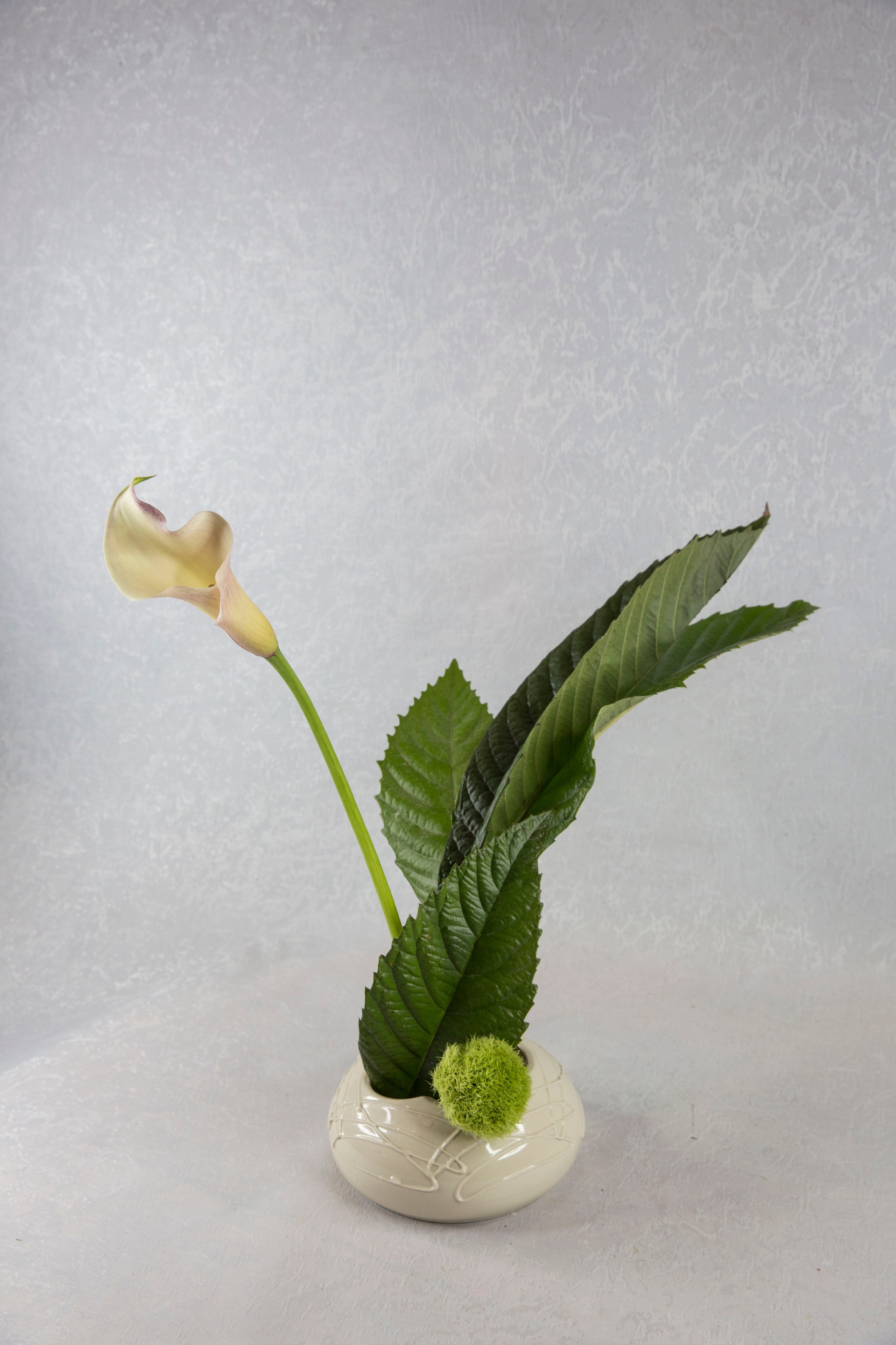 Икэбана Барне. Фотограф Анна Барне