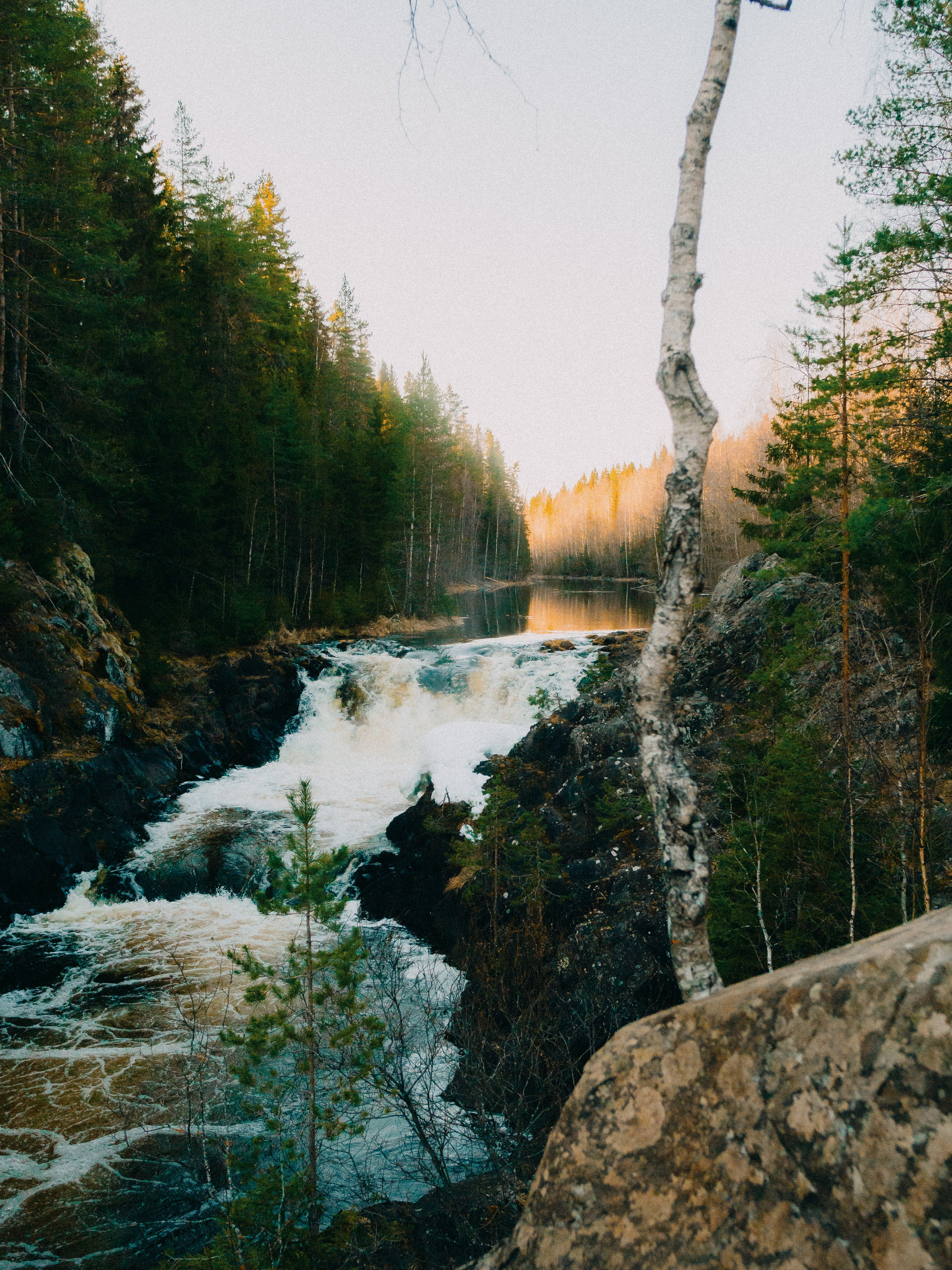 Карелия '23. Фёдор Малюгин. Ваш бади в визуале