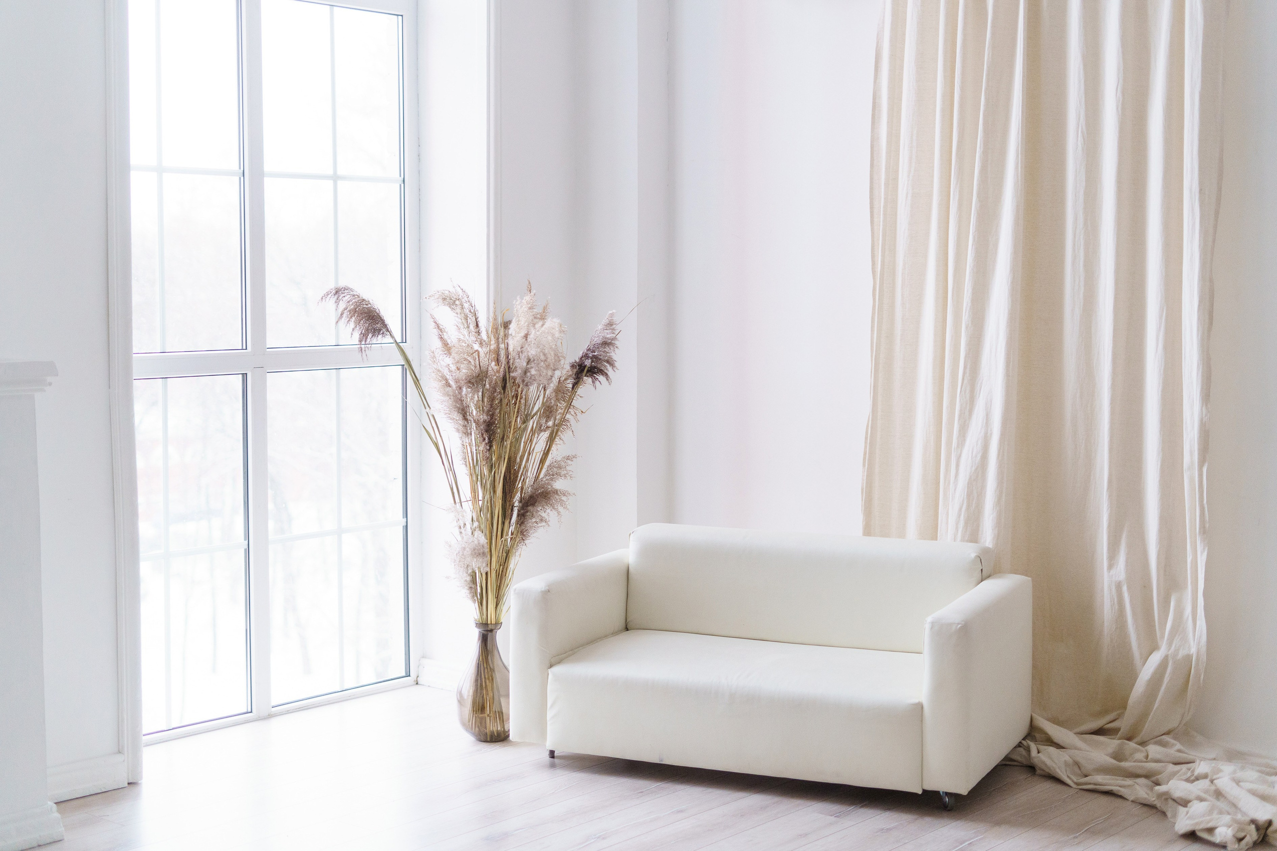 Циклорама. Фотостудия ART BAZA Тверь