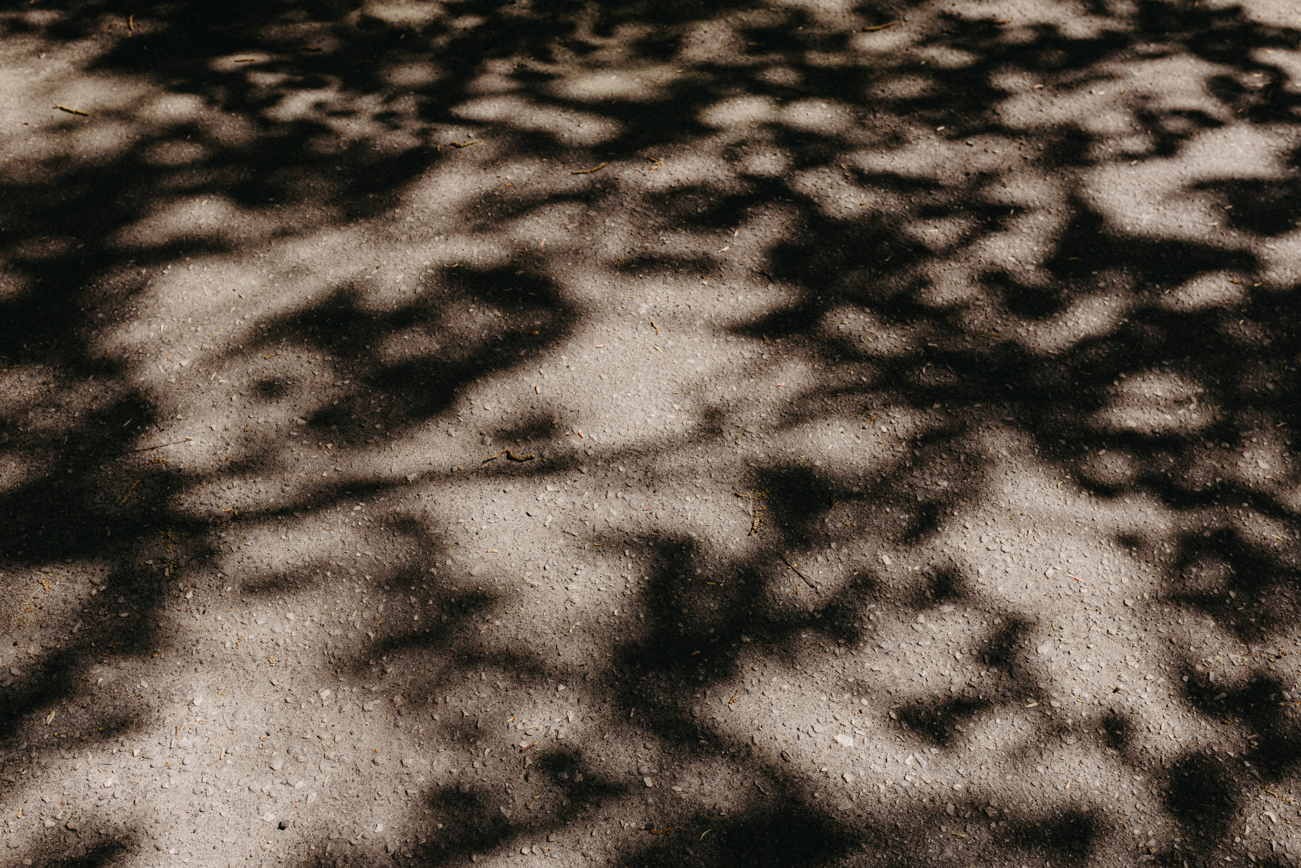 Свадьба Маши и Димы. Свадебный и семейный фотограф Женя Добрянская в Нижнем Новгороде