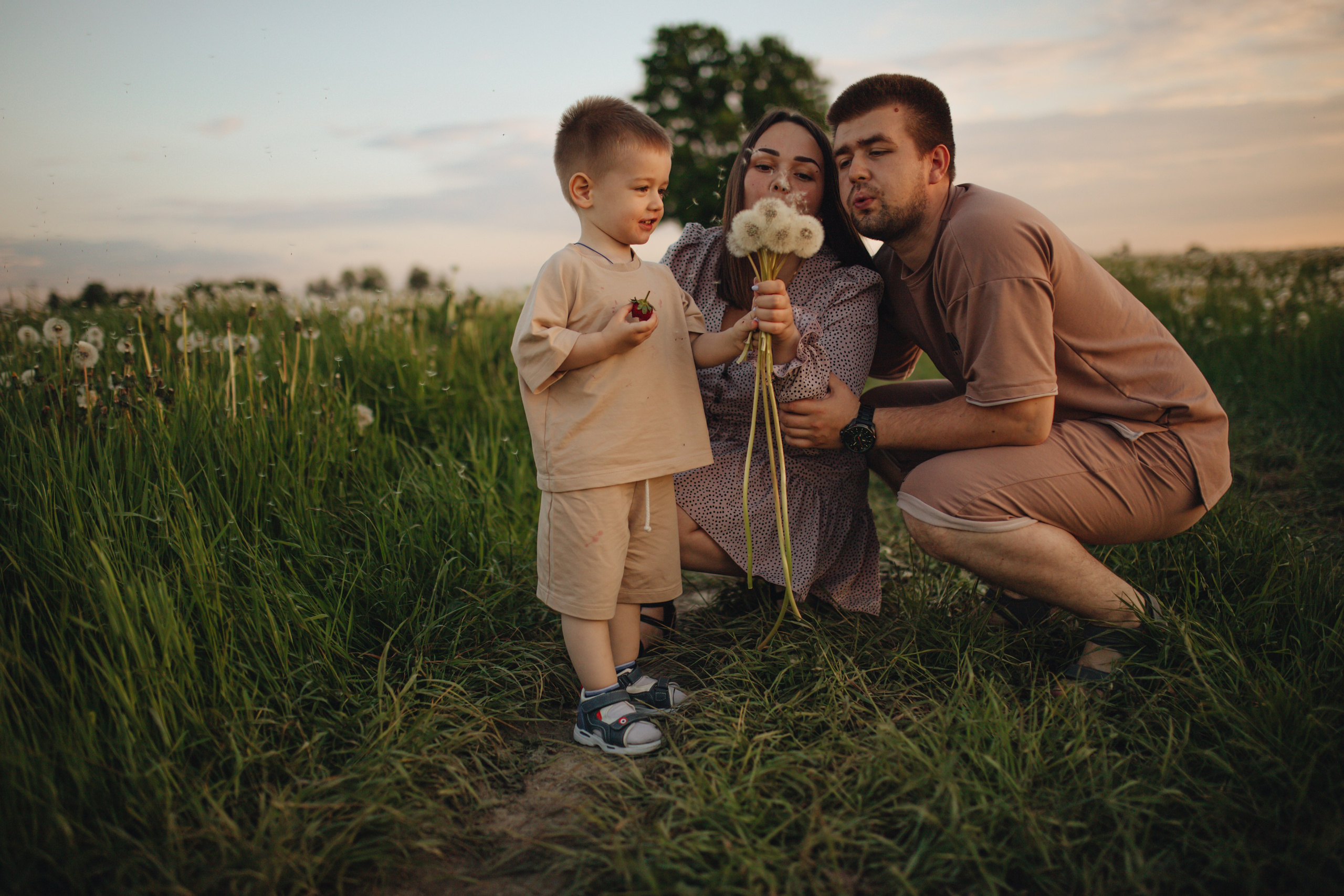 В поле на закате. Фотограф Винокурова Кристина в Санкт-Петербурге