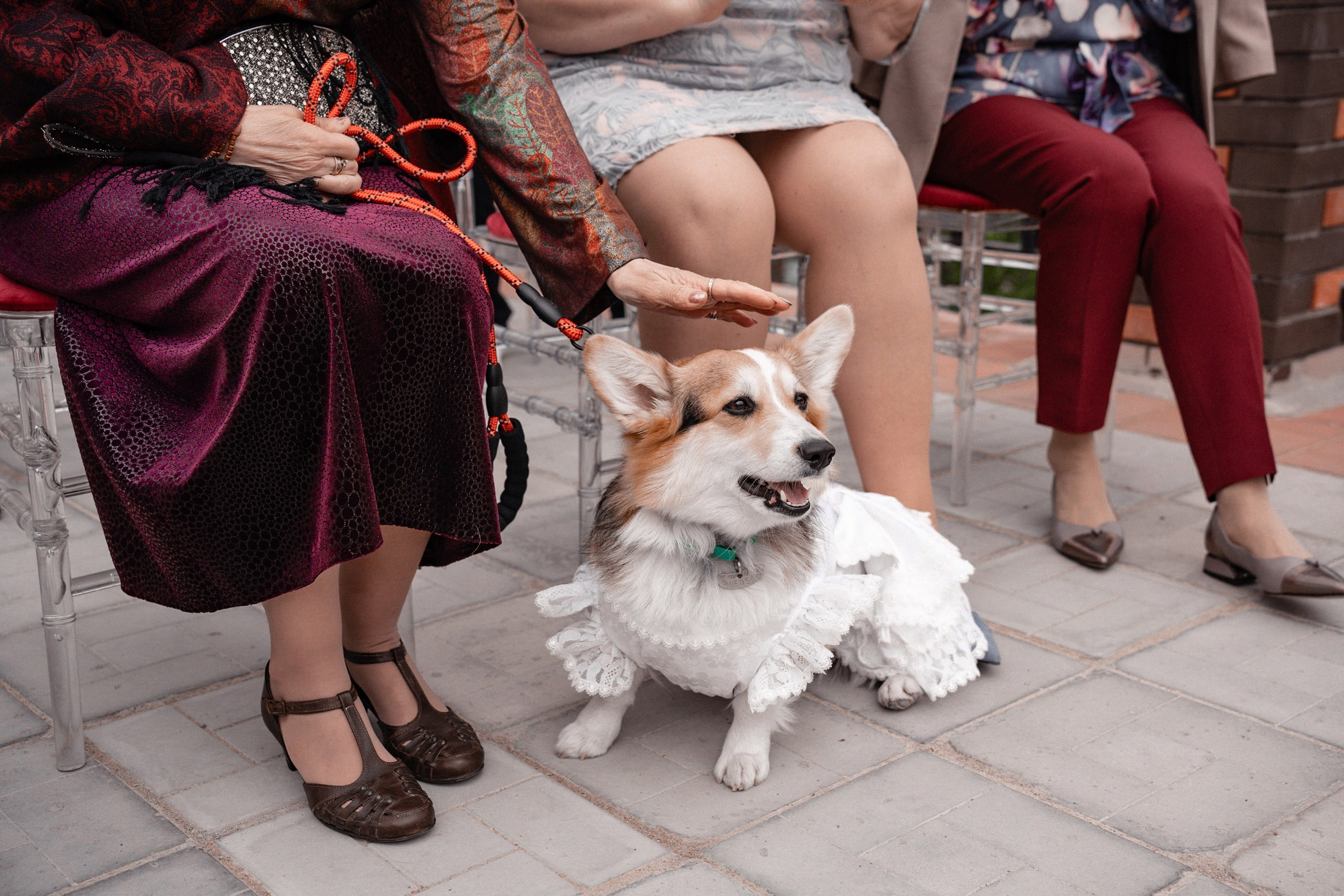 Свадебная фотосессия в Loft «Manhattan» в Пучково. Свадебный фотограф в Пучково