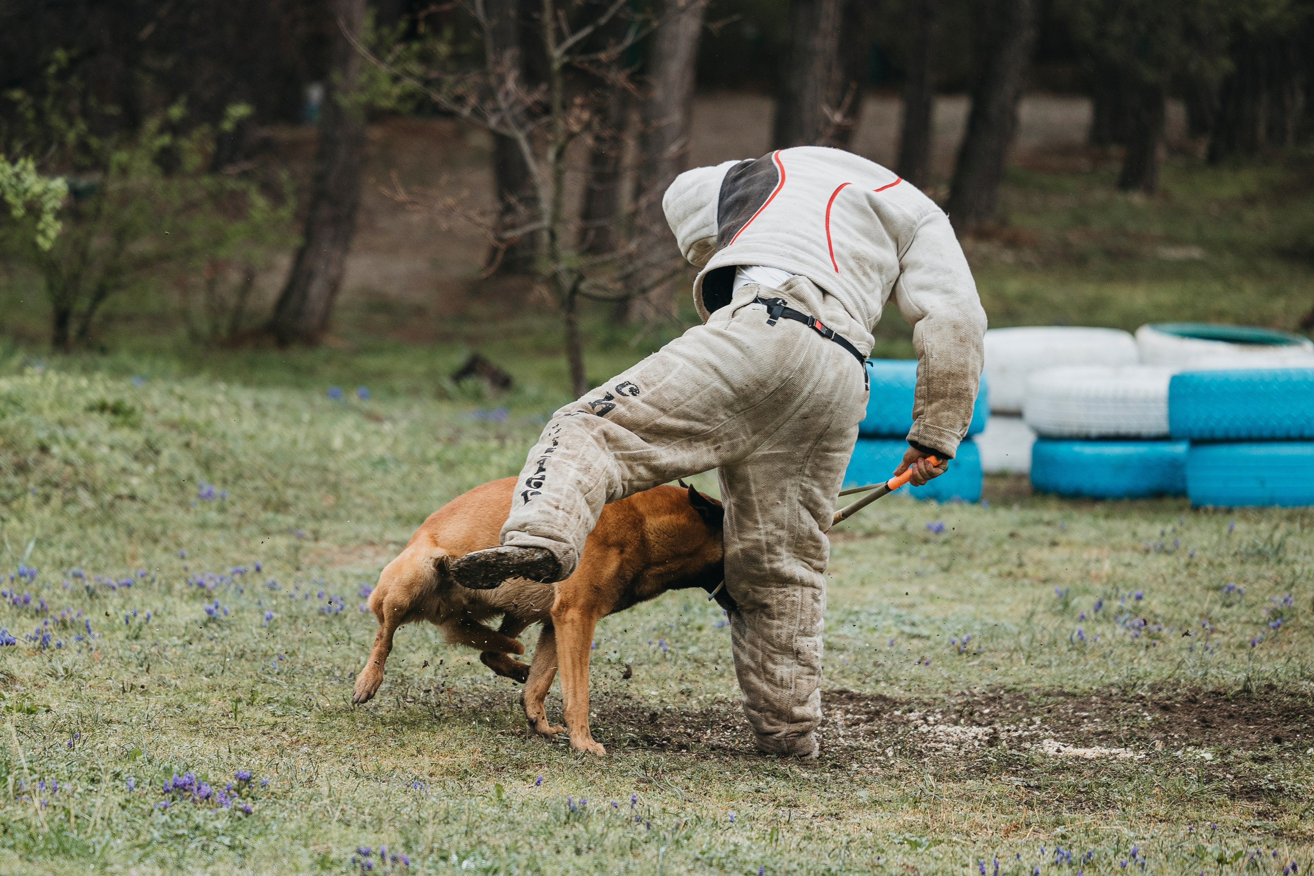Геленджик Мондьоринг. Фотограф-анималист Анна Маринич