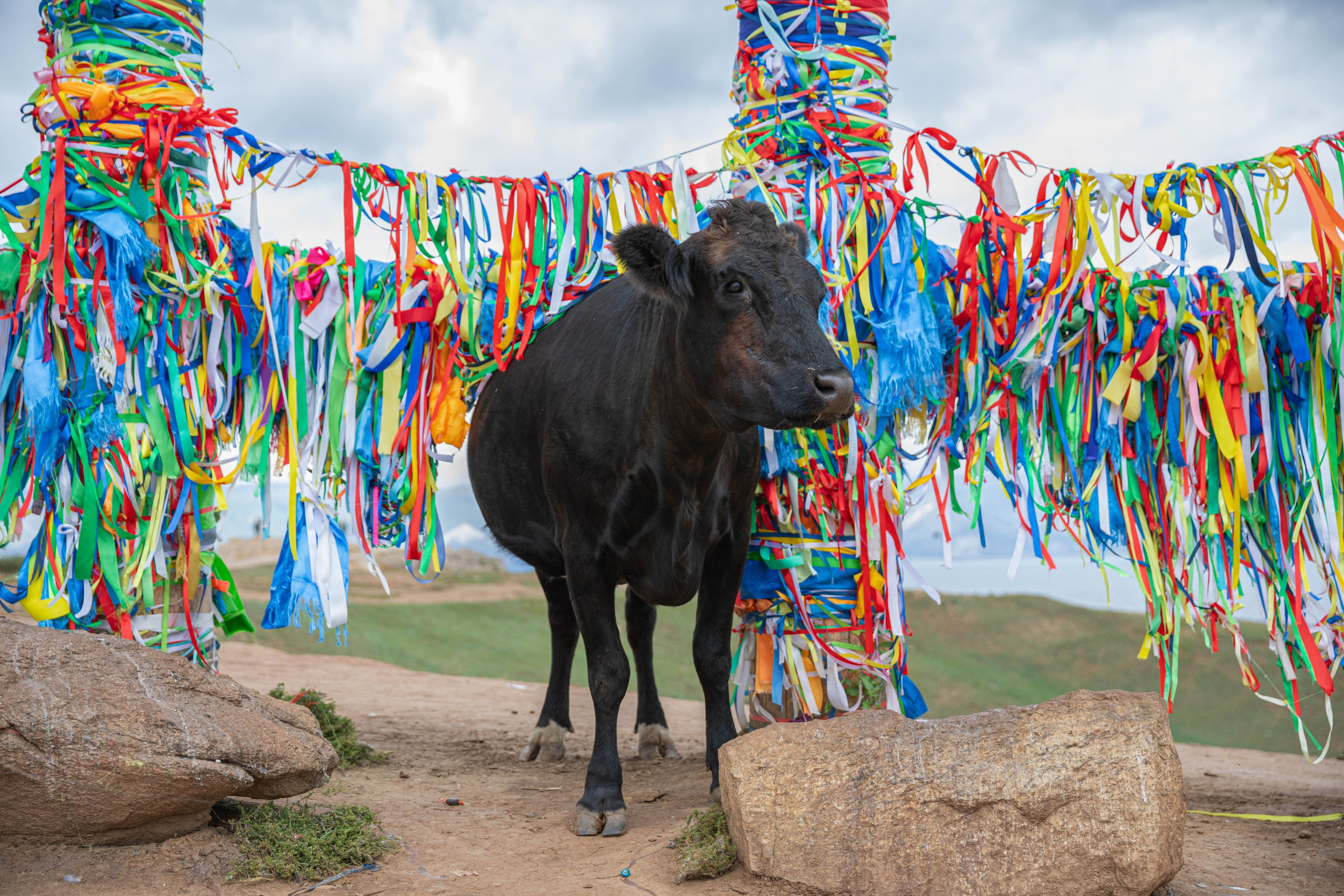 На озере Байкал, Путешествия, Артем Федоров, Новосибирск