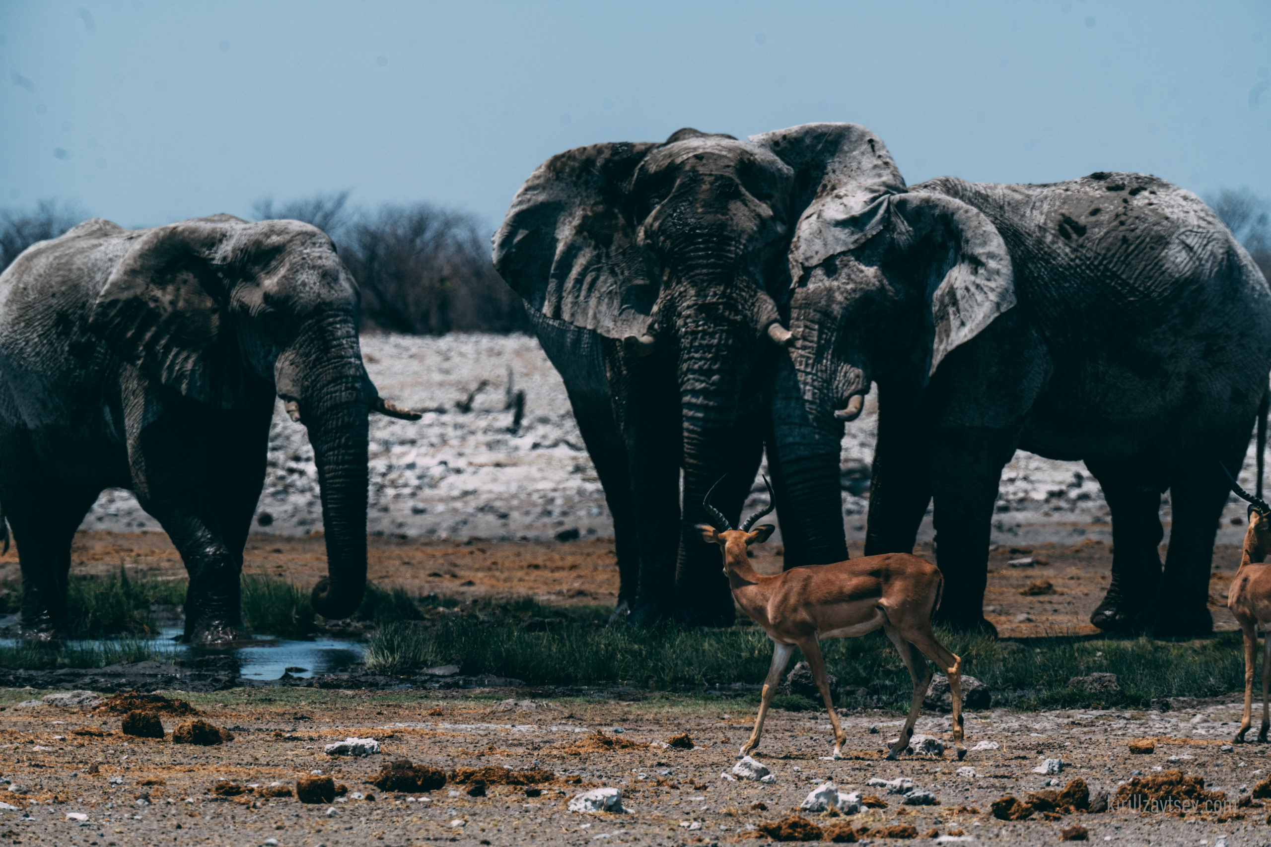 Жизнь. Профессиональный фотограф Кирилл Зайцев