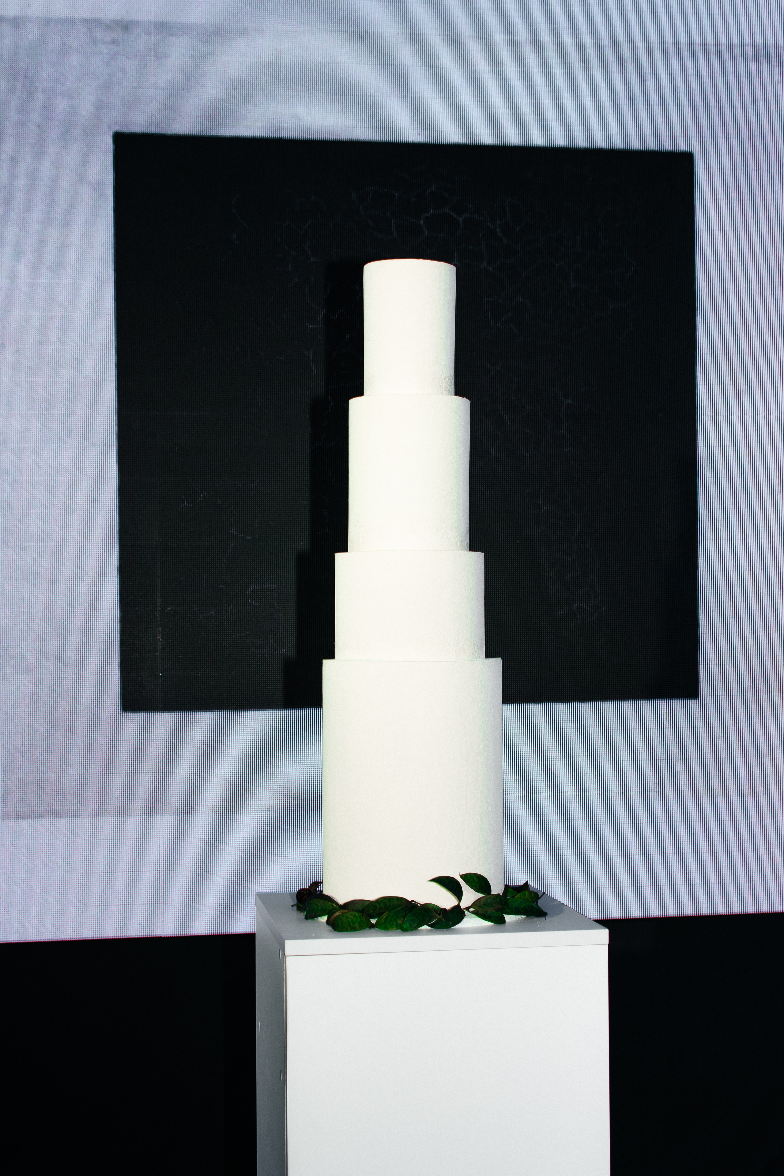 Шоу тортов. Ярмольчик Марина, Fashion фотограф в г Витебск и за его пределами