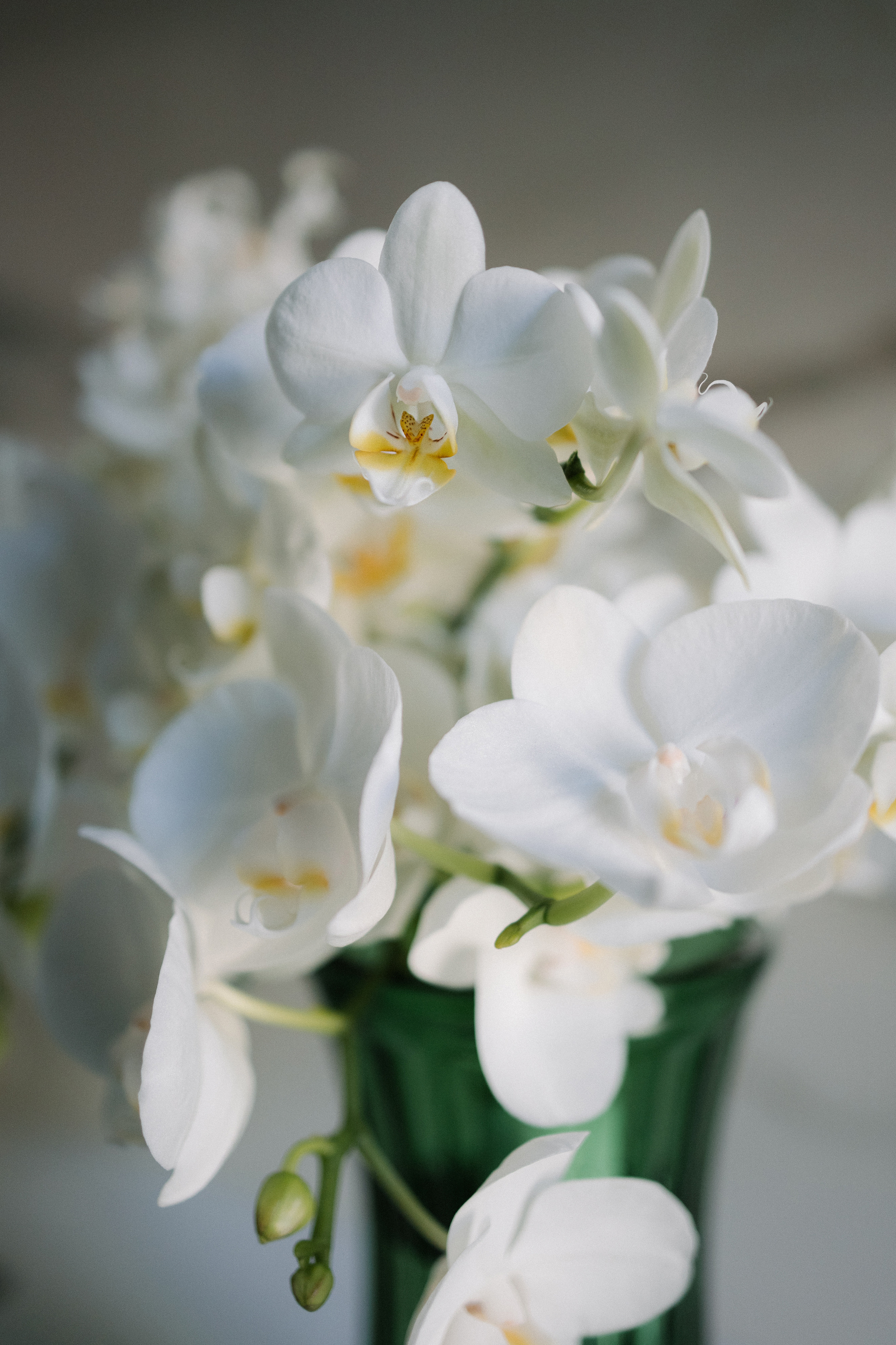 J | M. Anna Fridenberg | wedding photographer