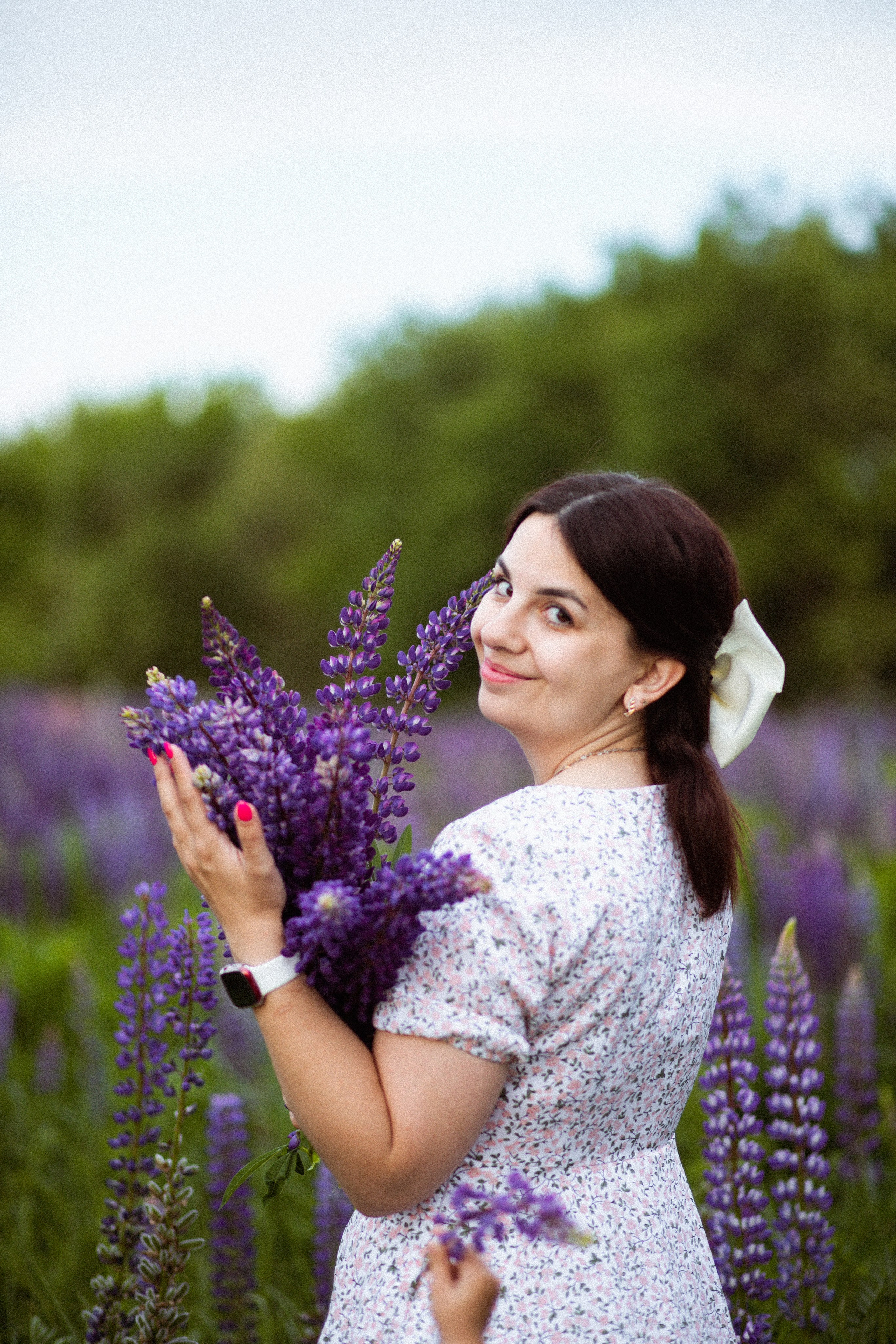 Июньские люпины. Фотограф в Москве/Санкт-Петербурге