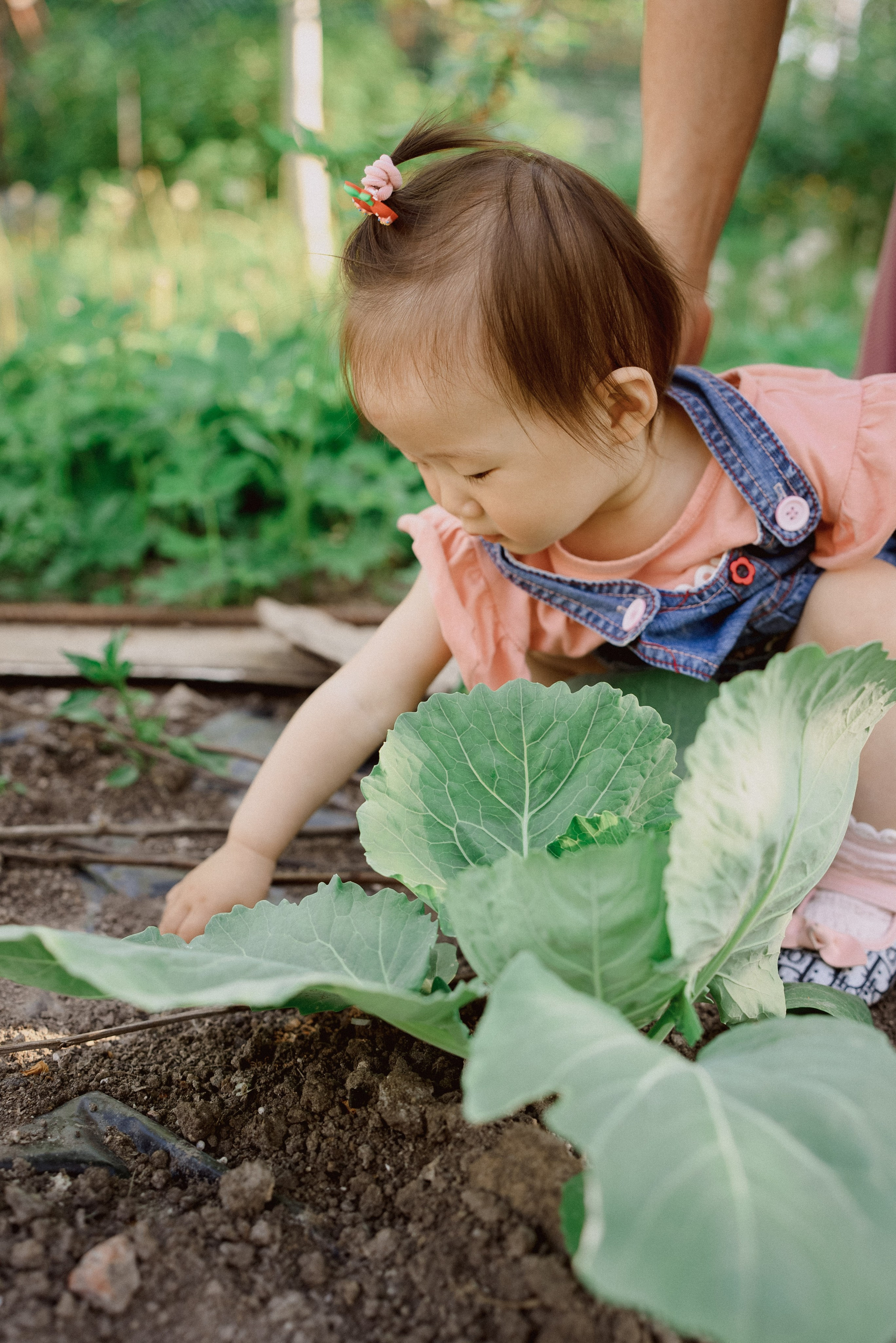 Лето с бабушкой. Семейный фотограф и видеограф Алёна Ким
