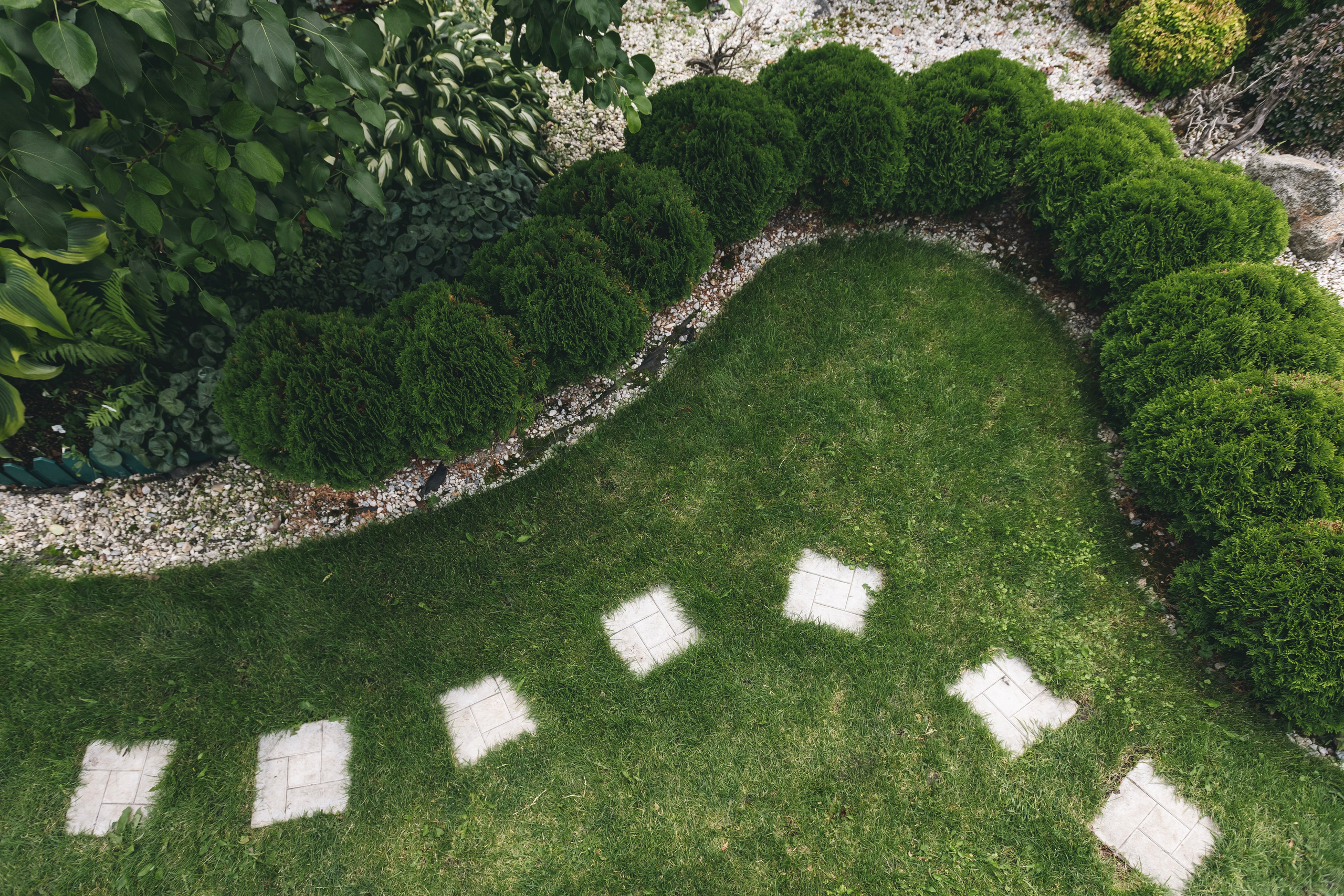 Любовь Георгиевна Пономарева. Садовод и ландшафтный дизайнер. Репортажный фотограф Наталья Лапцевич