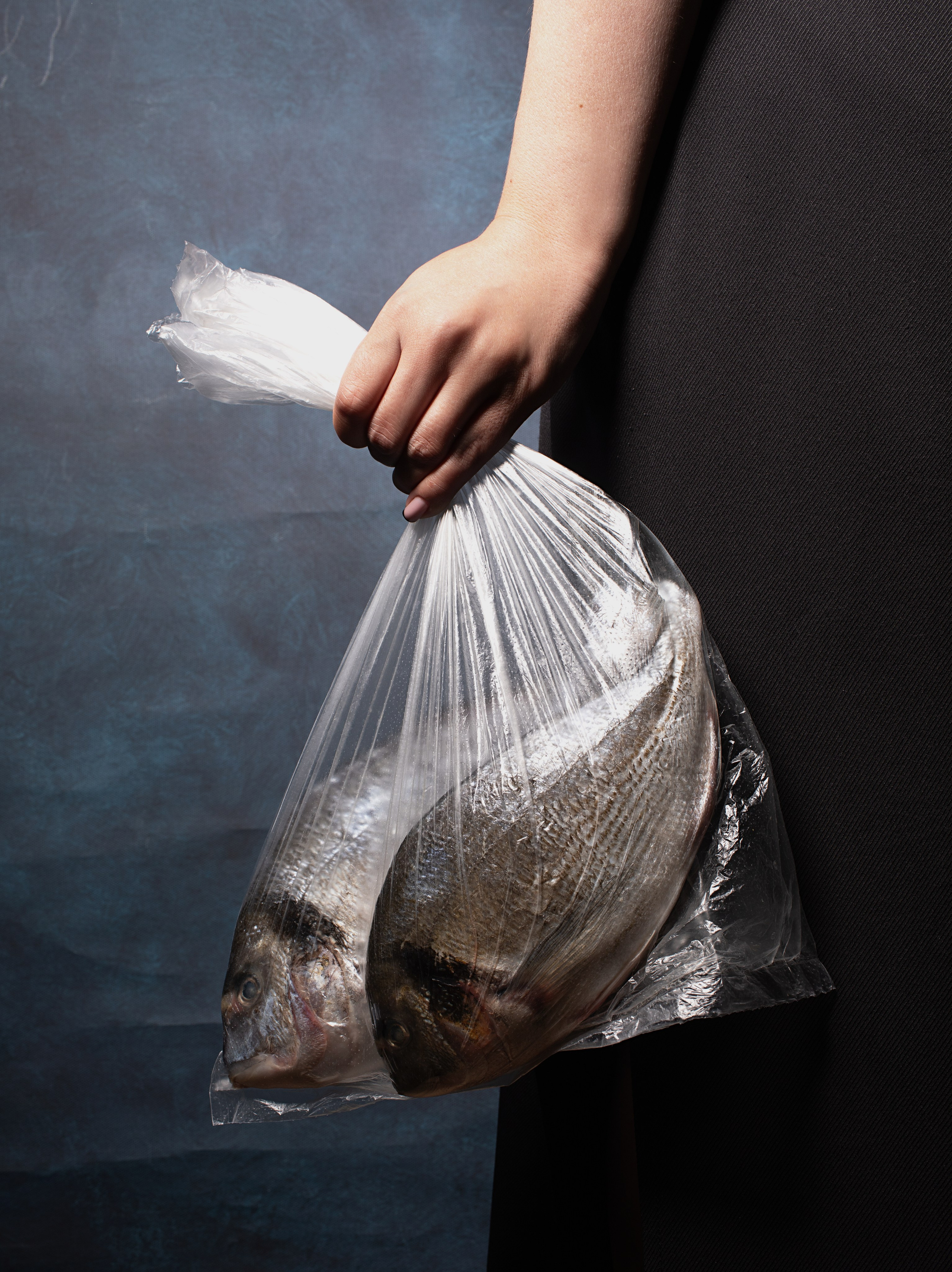 ДАРЬЯ. ГЛАВНАЯ