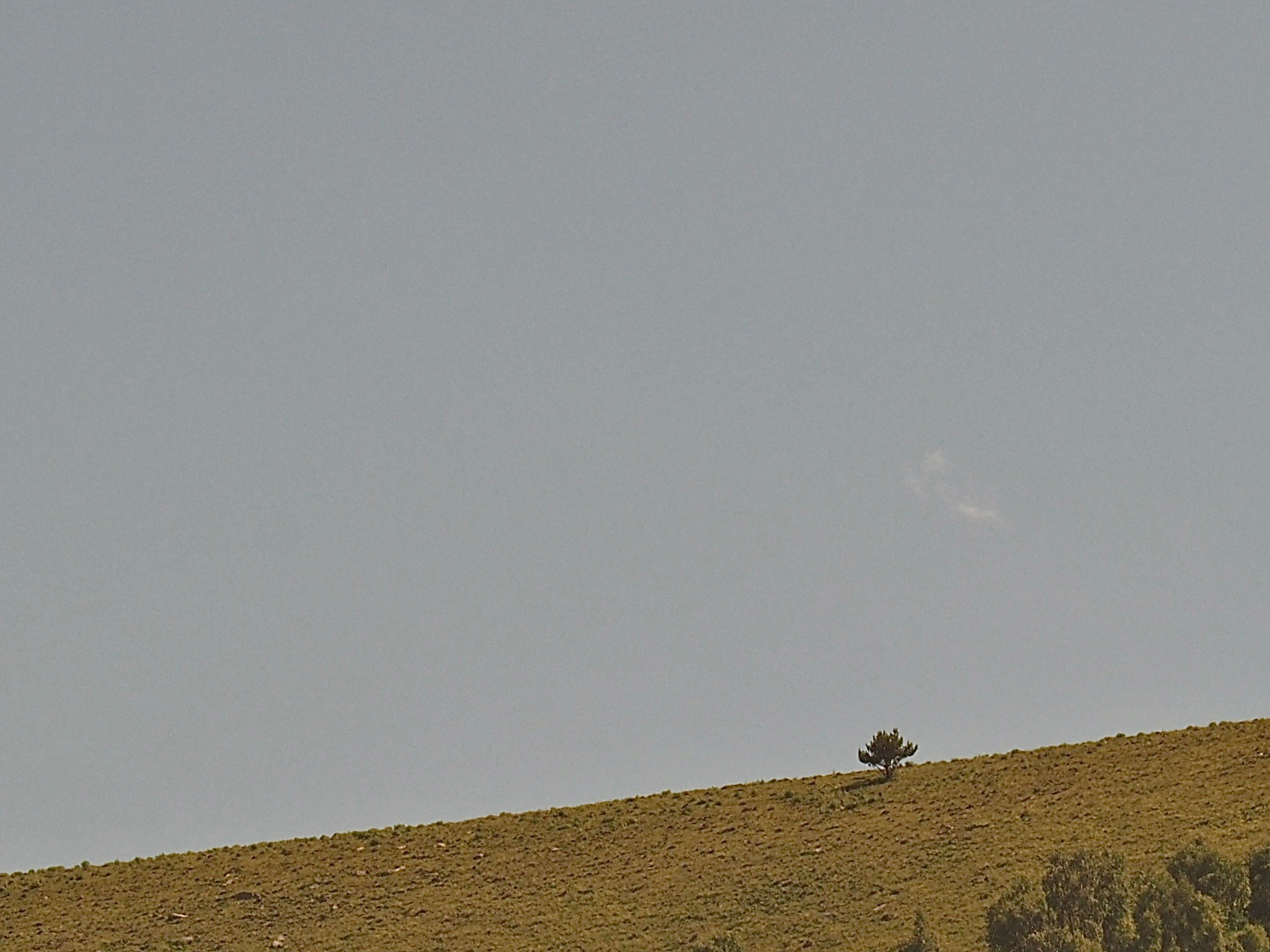 Пейзажи. Смотри, красота!