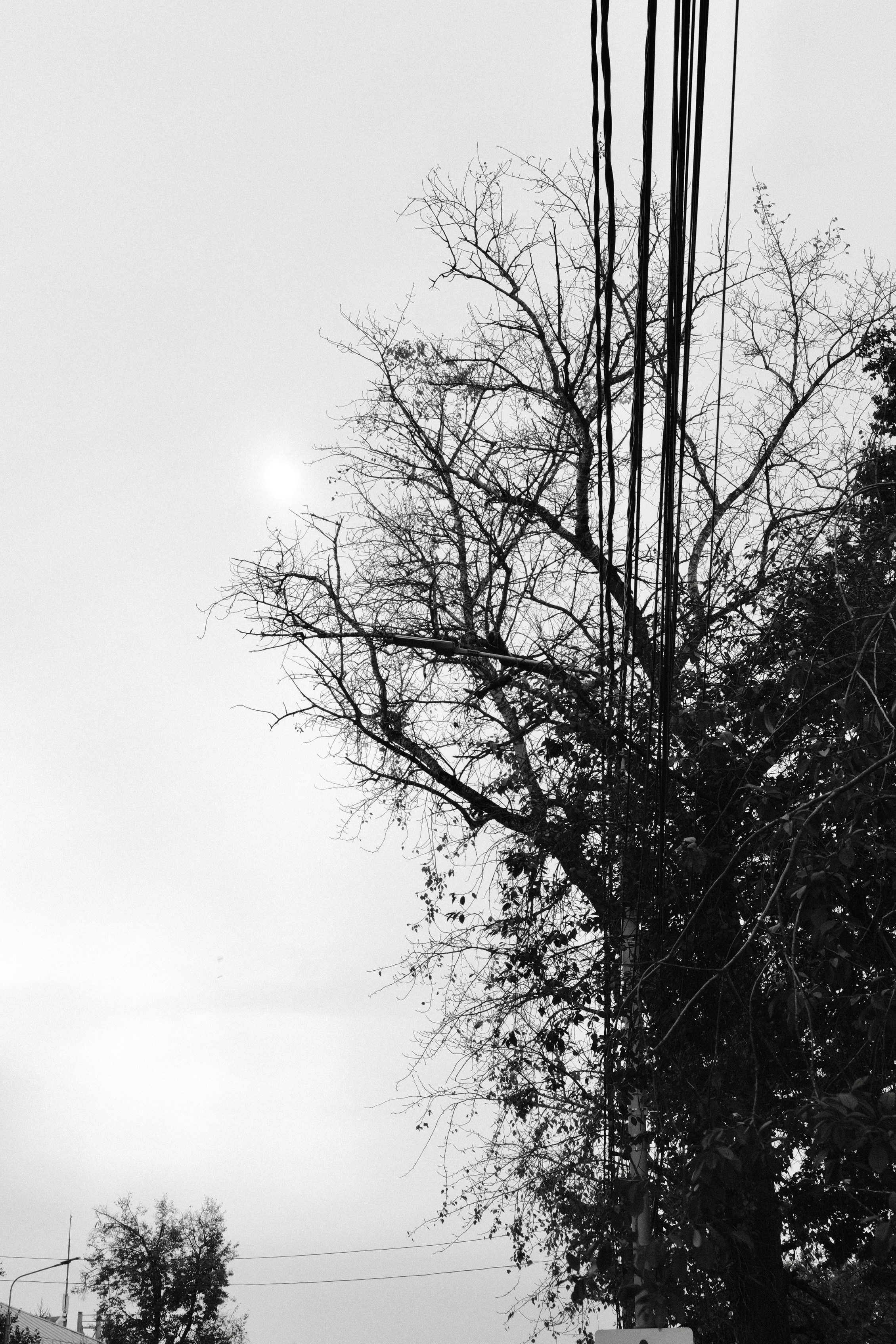 Чехов-Серпухов. Фотограф Маргана Лоция