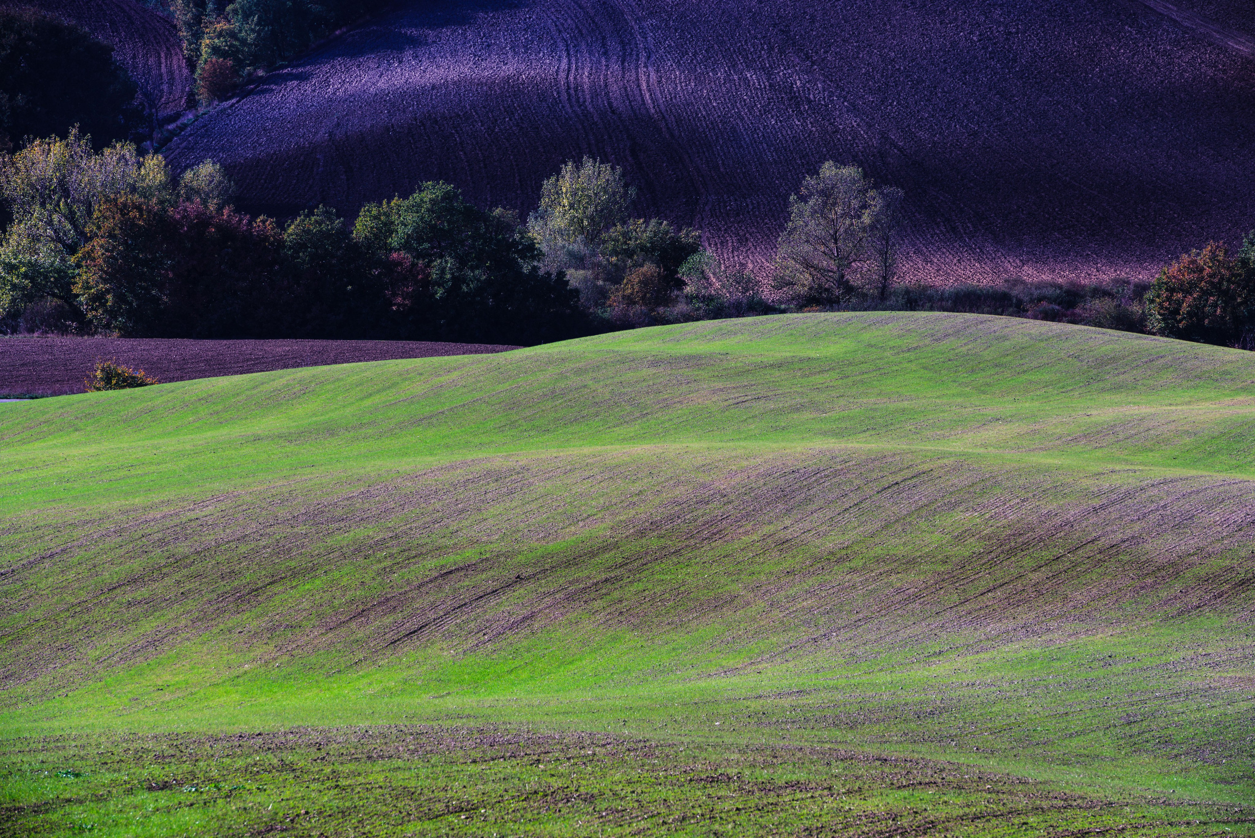 Фотографии для интерьера