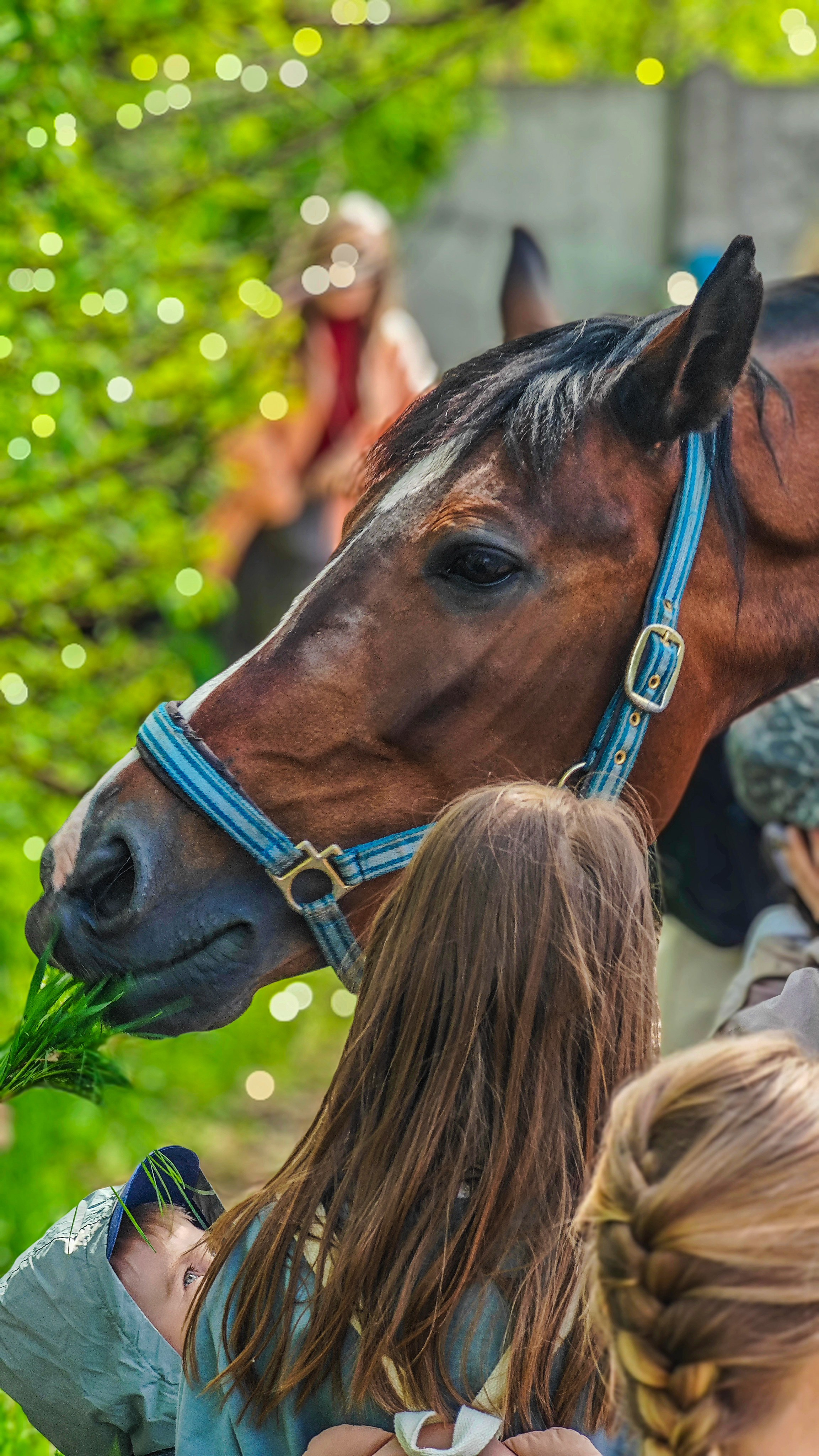 Красноярский ипподром. Открытие сезона 2025. Игорь Урывский. Фотограф Красноярск