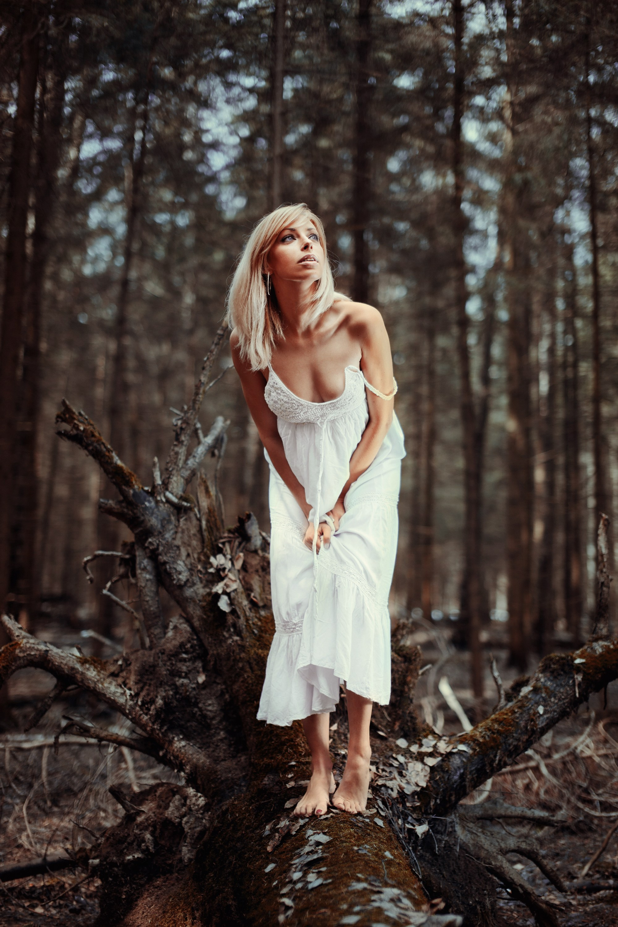 Арт-фото. Михаил Данилов | Фотограф